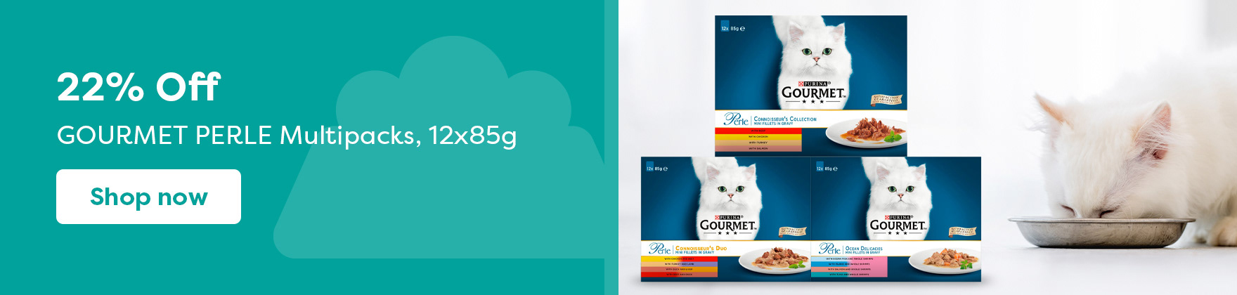 Category offer with lifestyle image + product - desktop