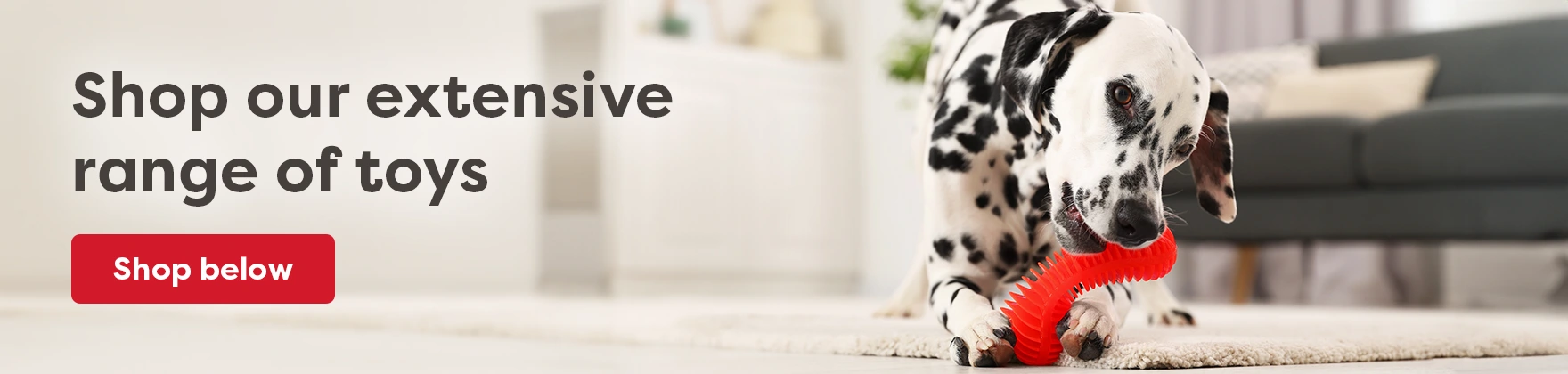 Category non-sale banner - desktop