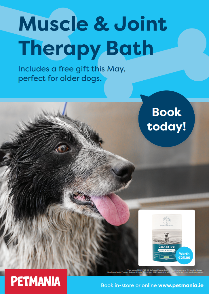 Promotion for Grooming Treatment - A1