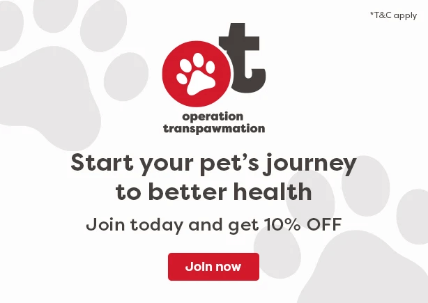 OT Web Banner - Mobile