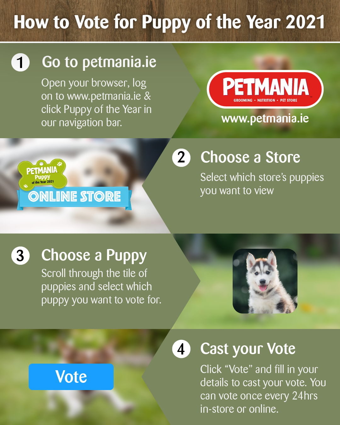 Petmania puppy best sale of the year