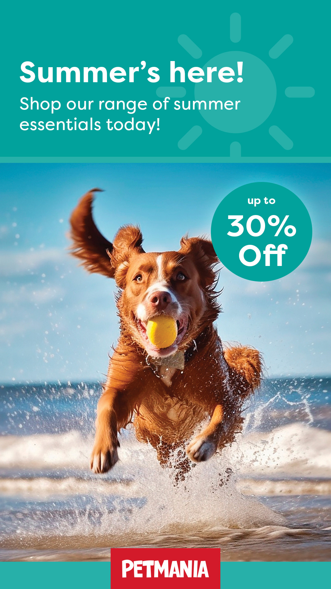 category offer - portrait