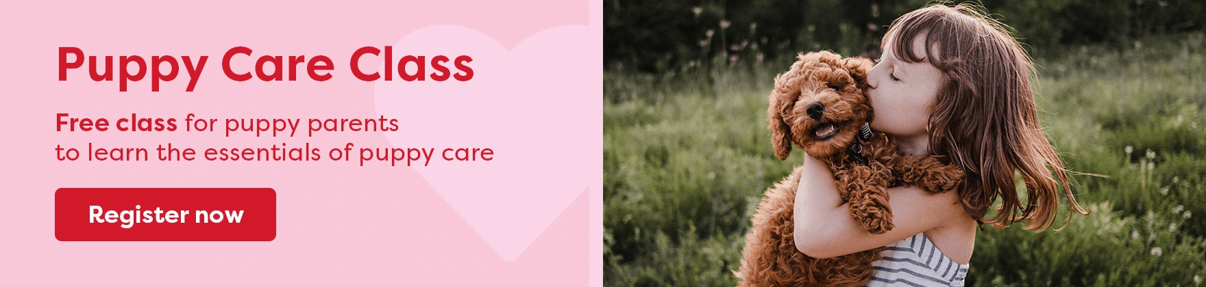 Puppy Care Class Banner - Desktop