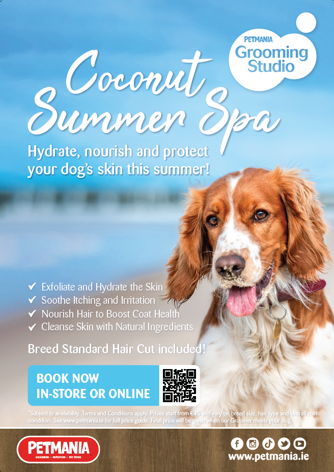 Promotional Grooming Treatment Poster