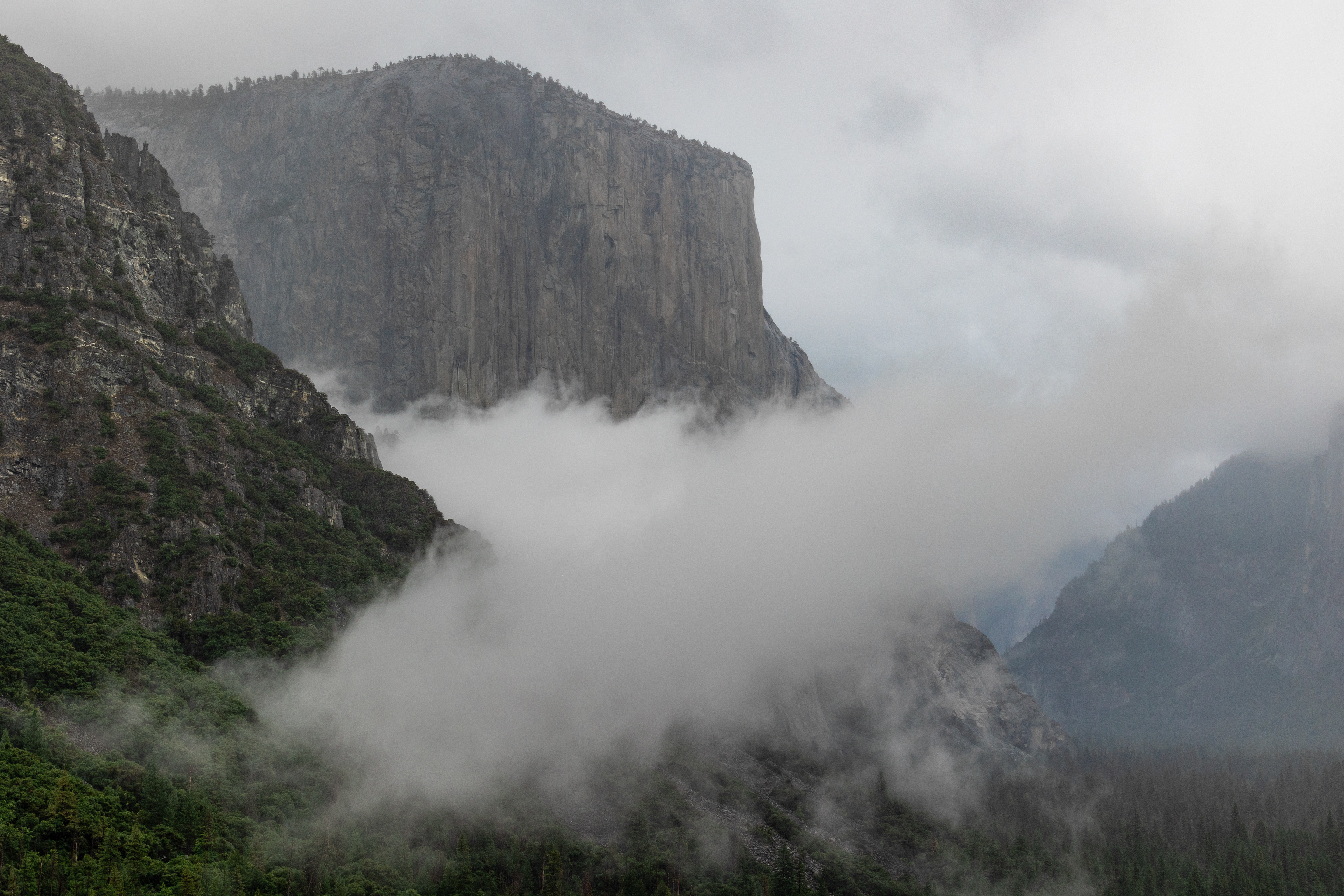 Yosemite - El Capitan overlooking the Valley