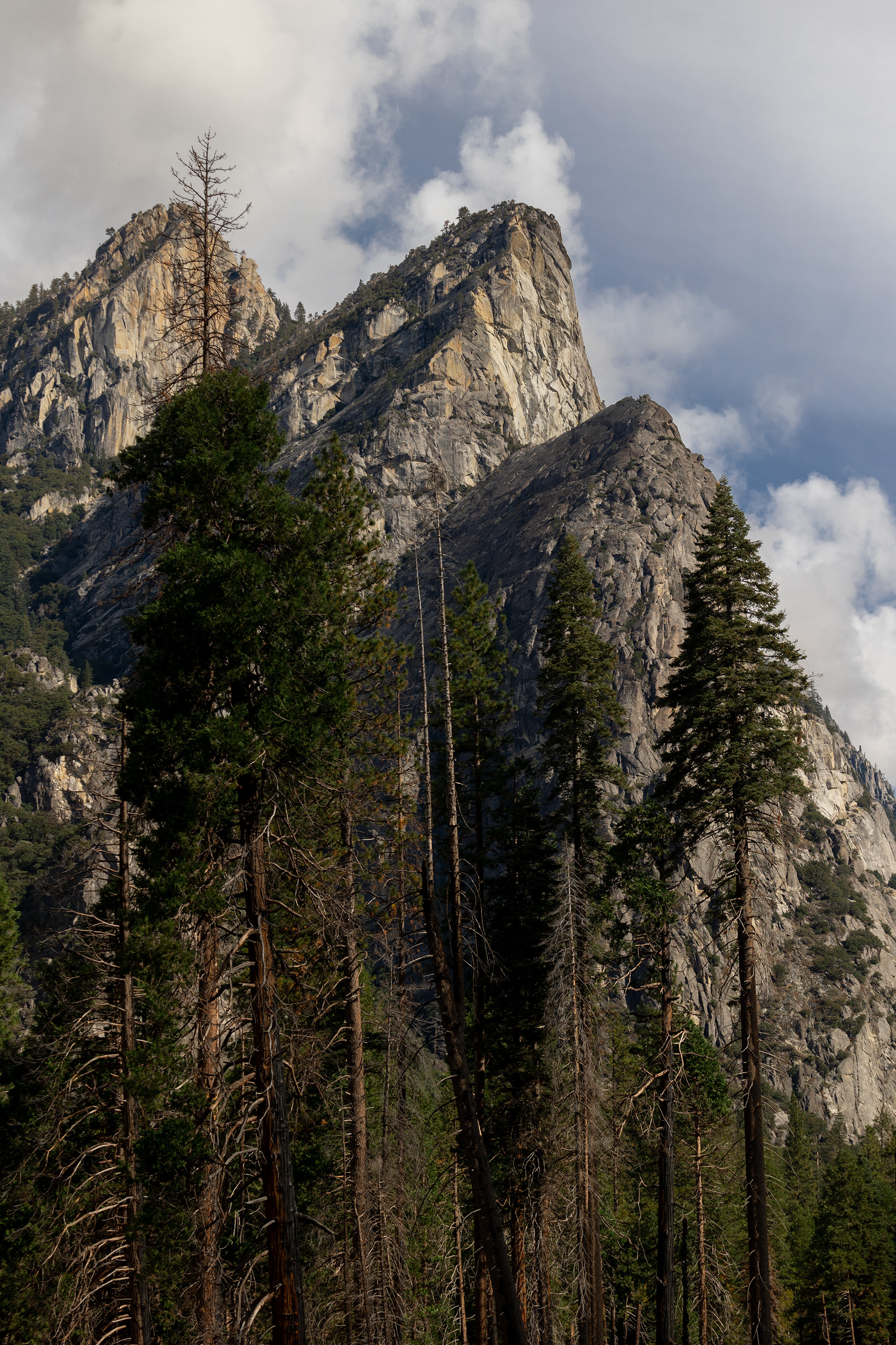 Yosemite - Three Brothers