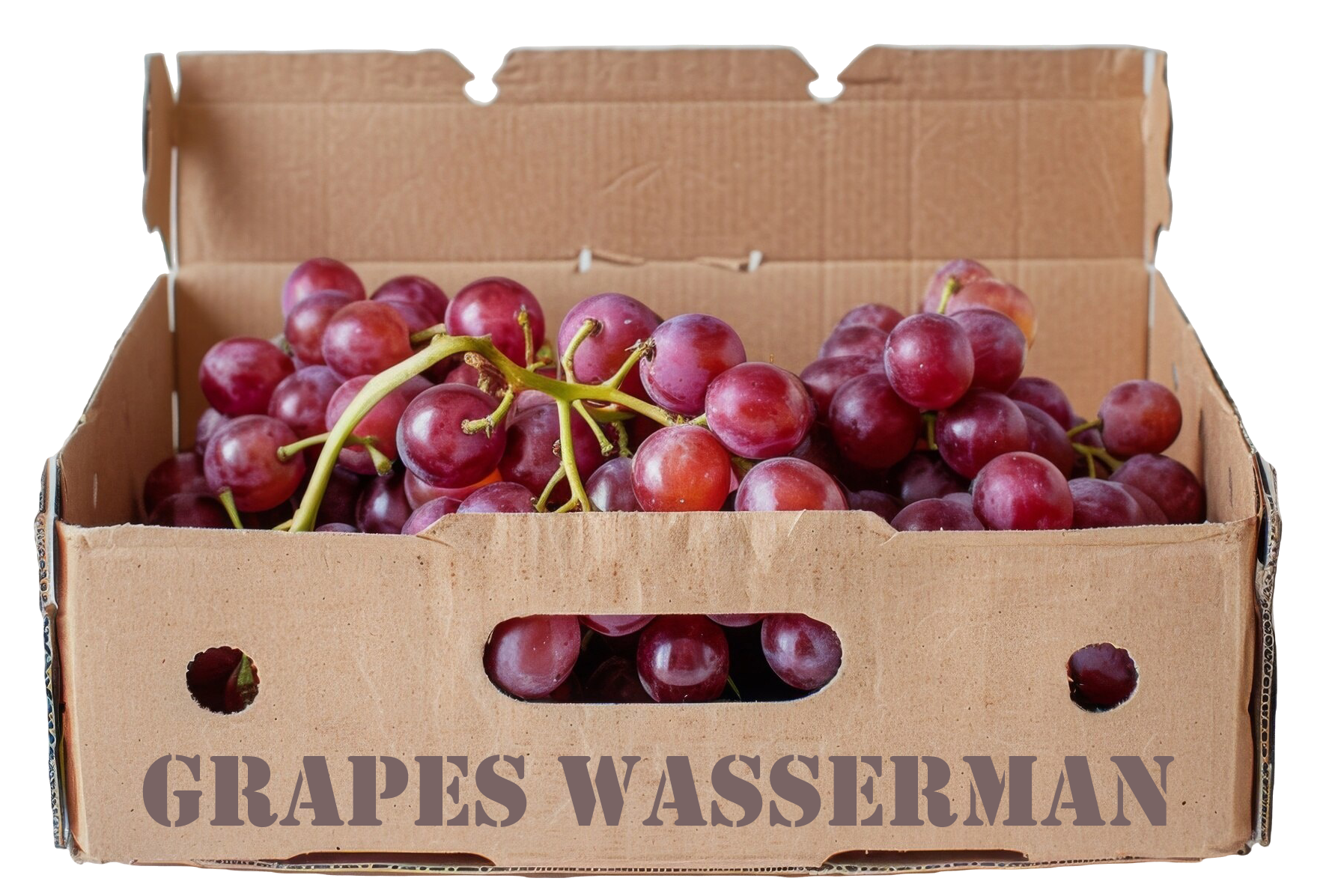 grapes wasserman