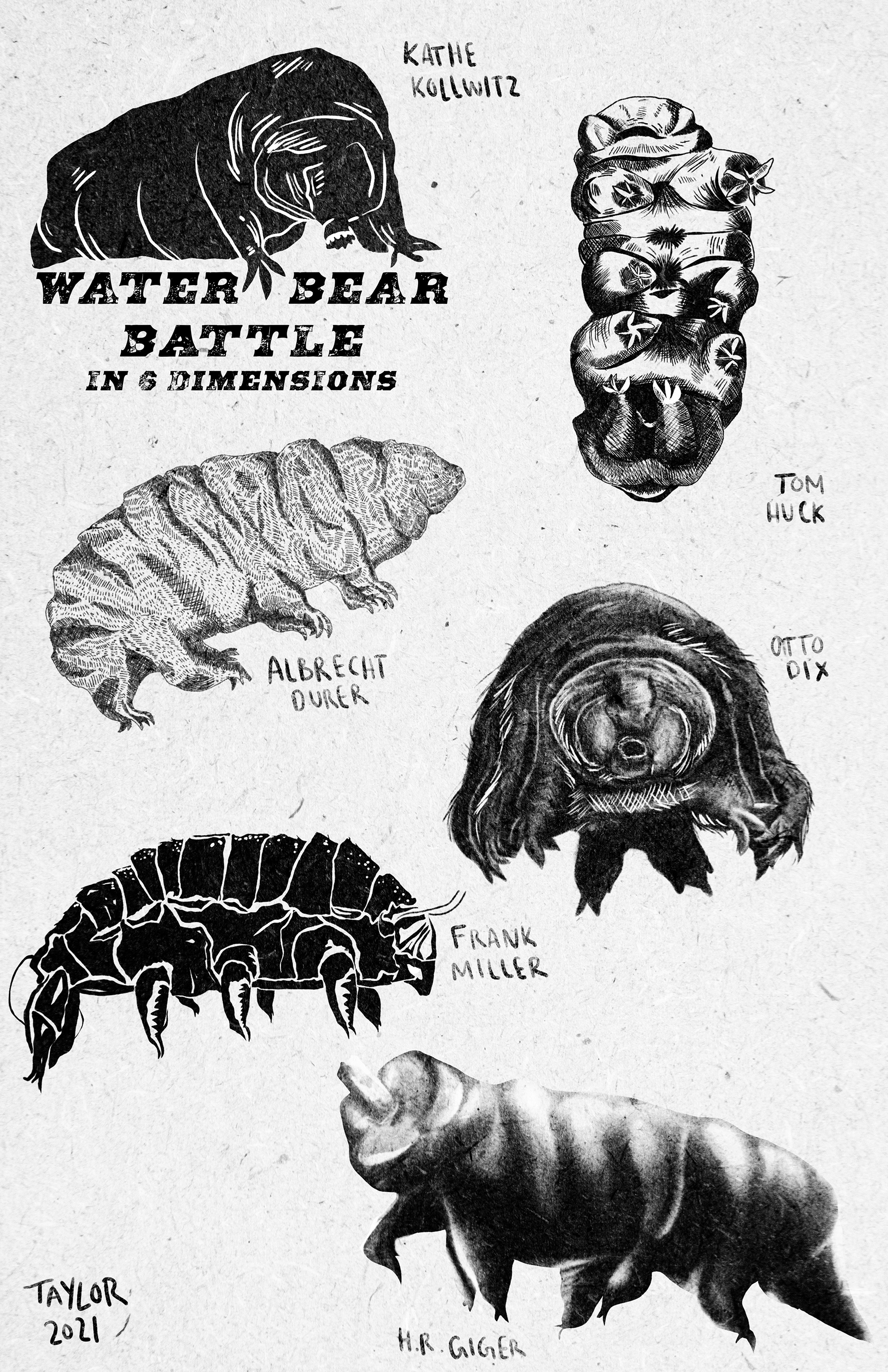 Water Bears - Scientific Illustration