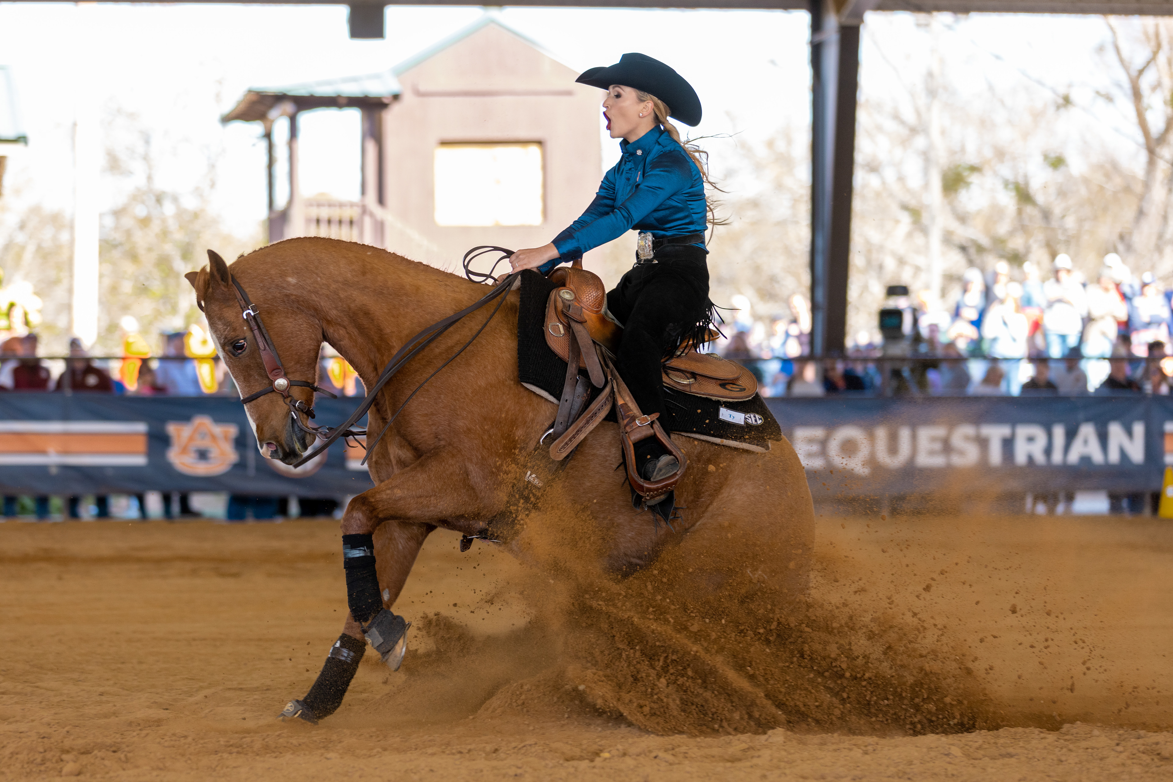 Auburn Equestrian SEC Championships