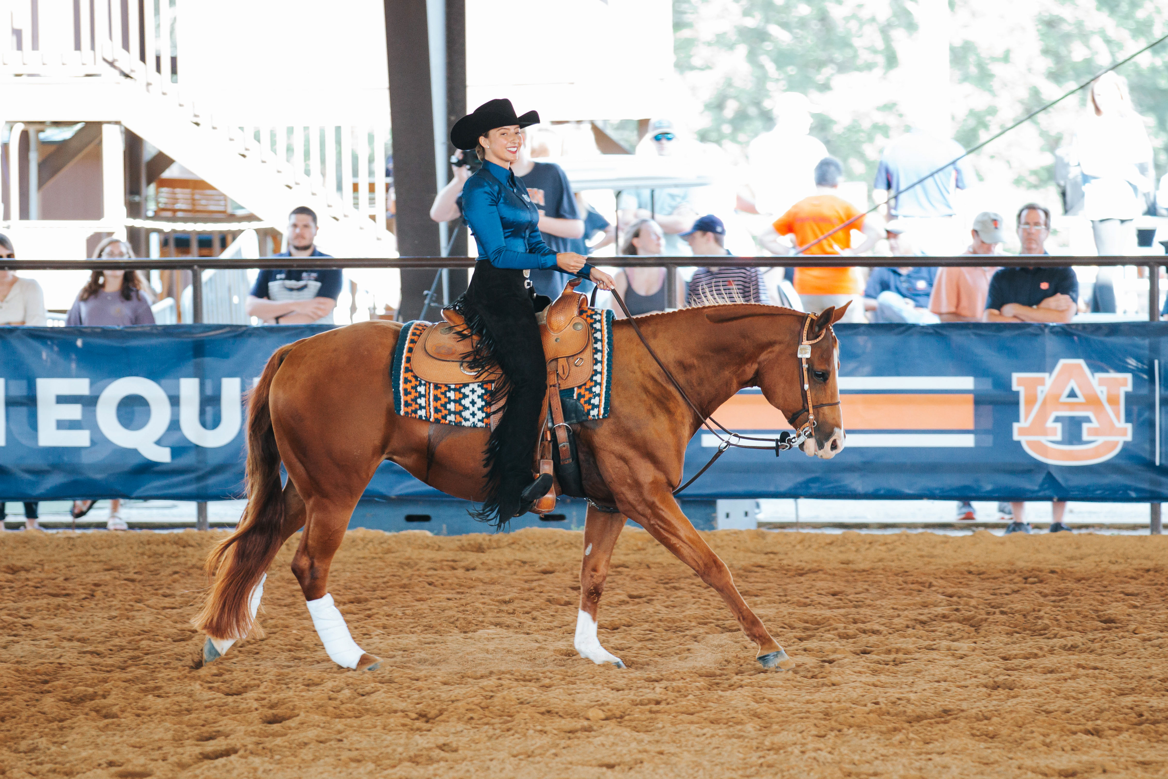Auburn EQ