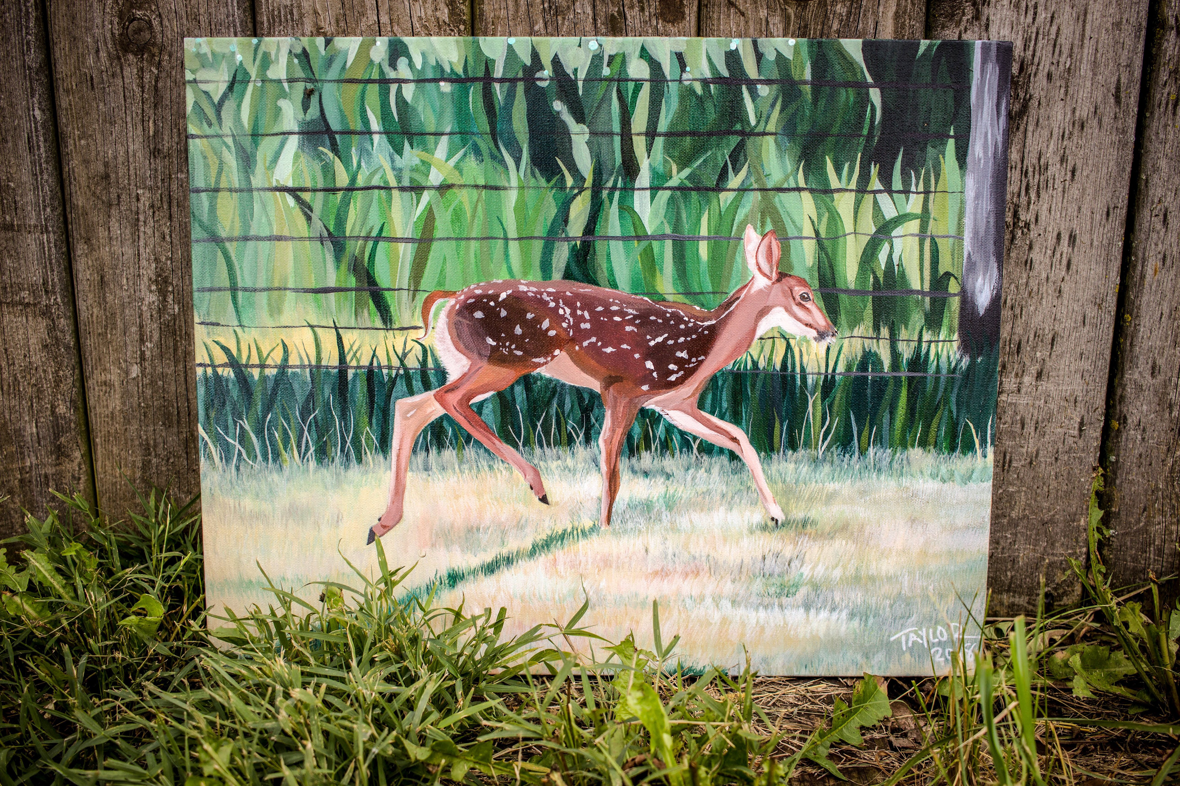 In the Pasture - Acrylic