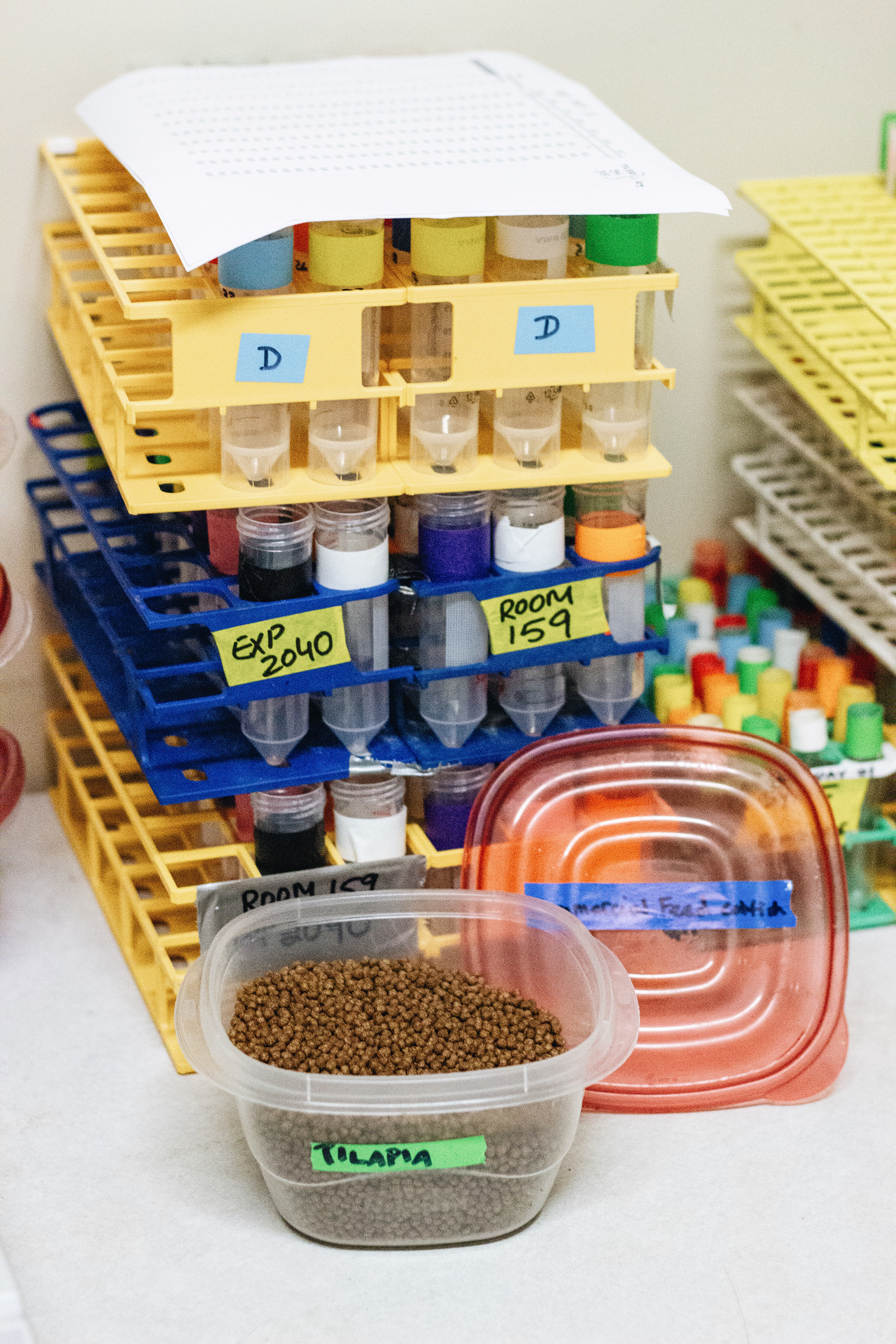 fish feed regiments