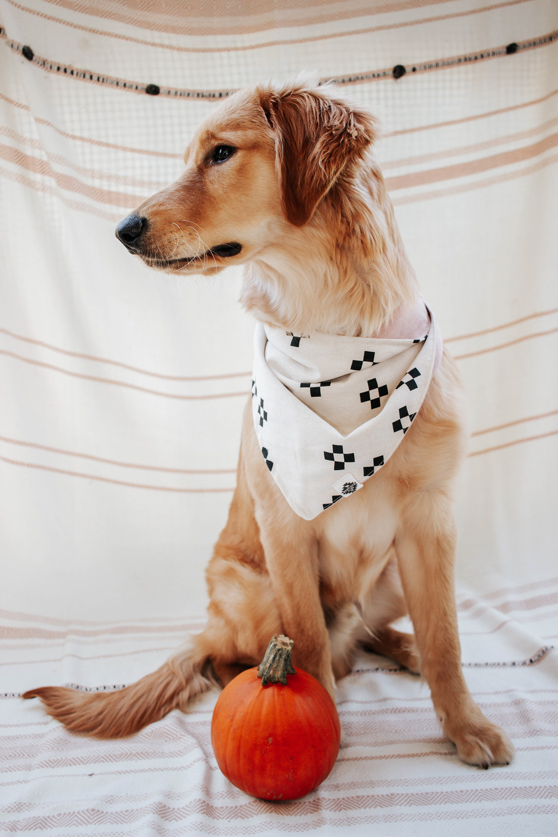 BBBC Product Photos