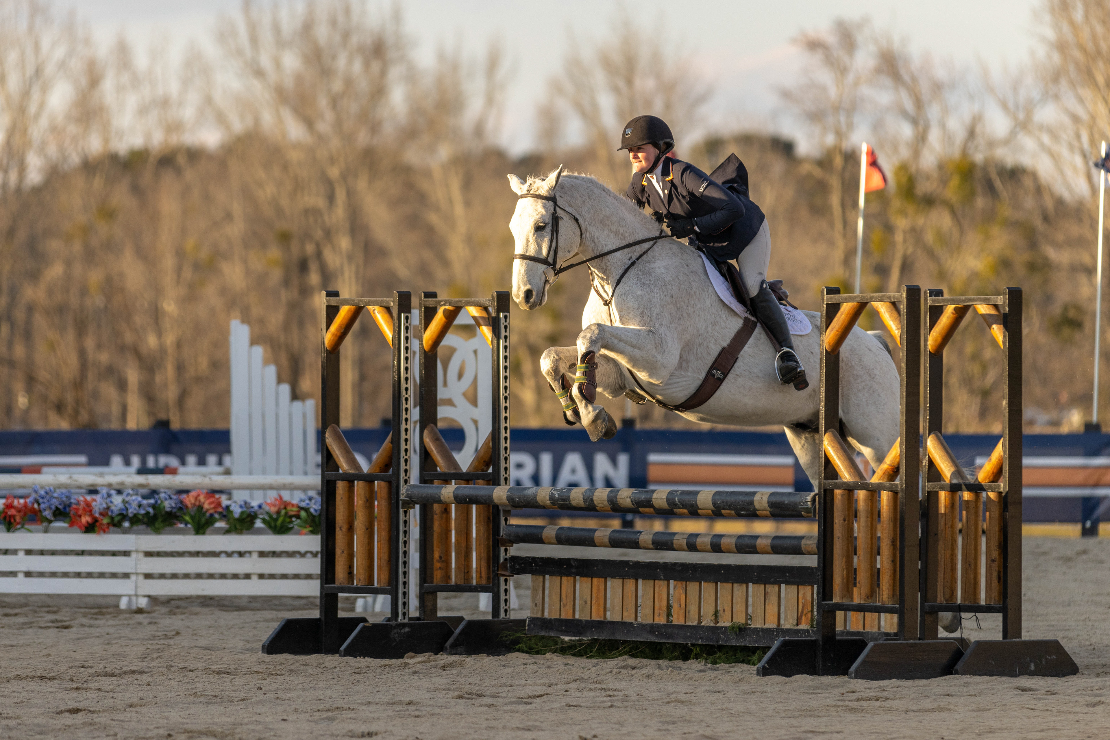 Auburn Equestrian Fences