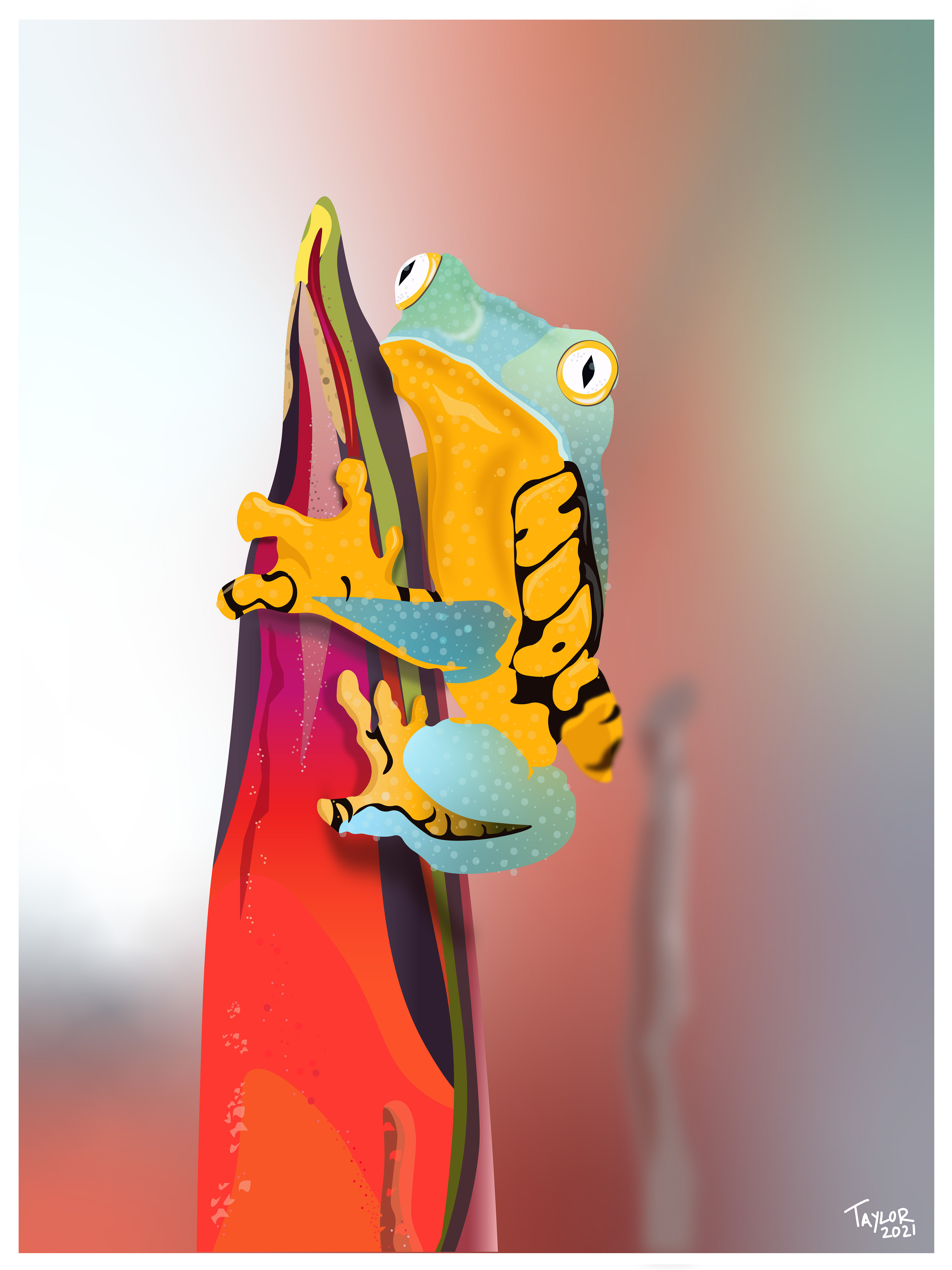 Adobe Illustrator Frog - Scientific Illustration