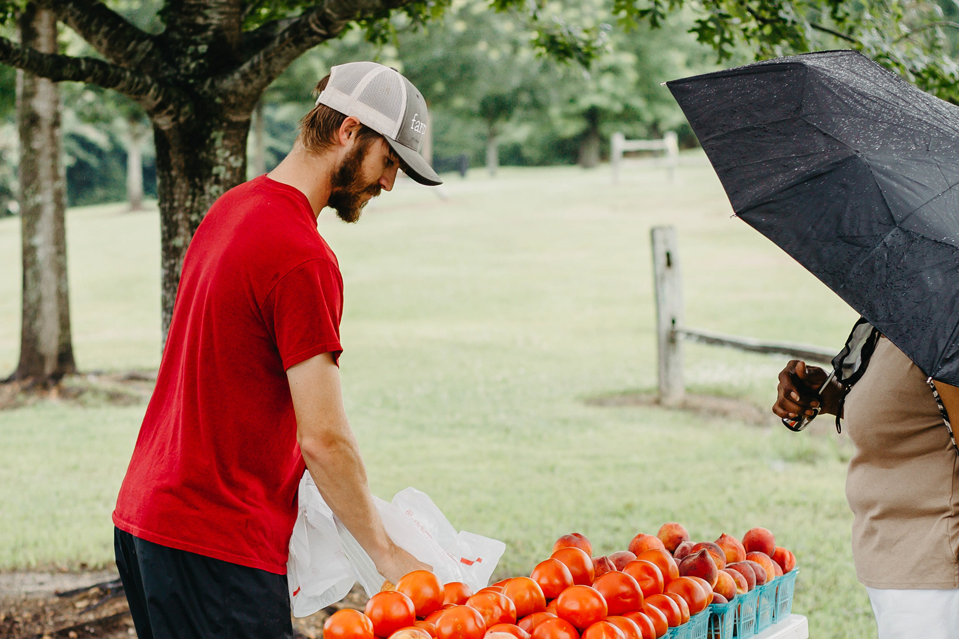 The Market at Ag Heritage Park