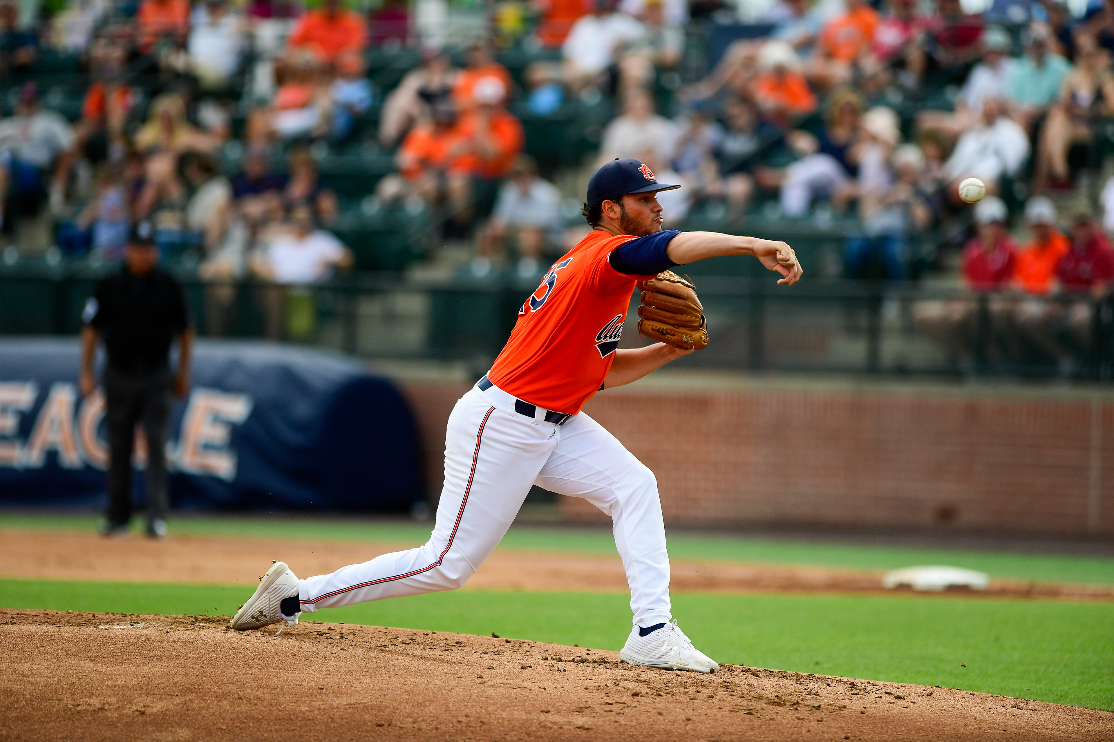 Auburn Baseball vs Alabama