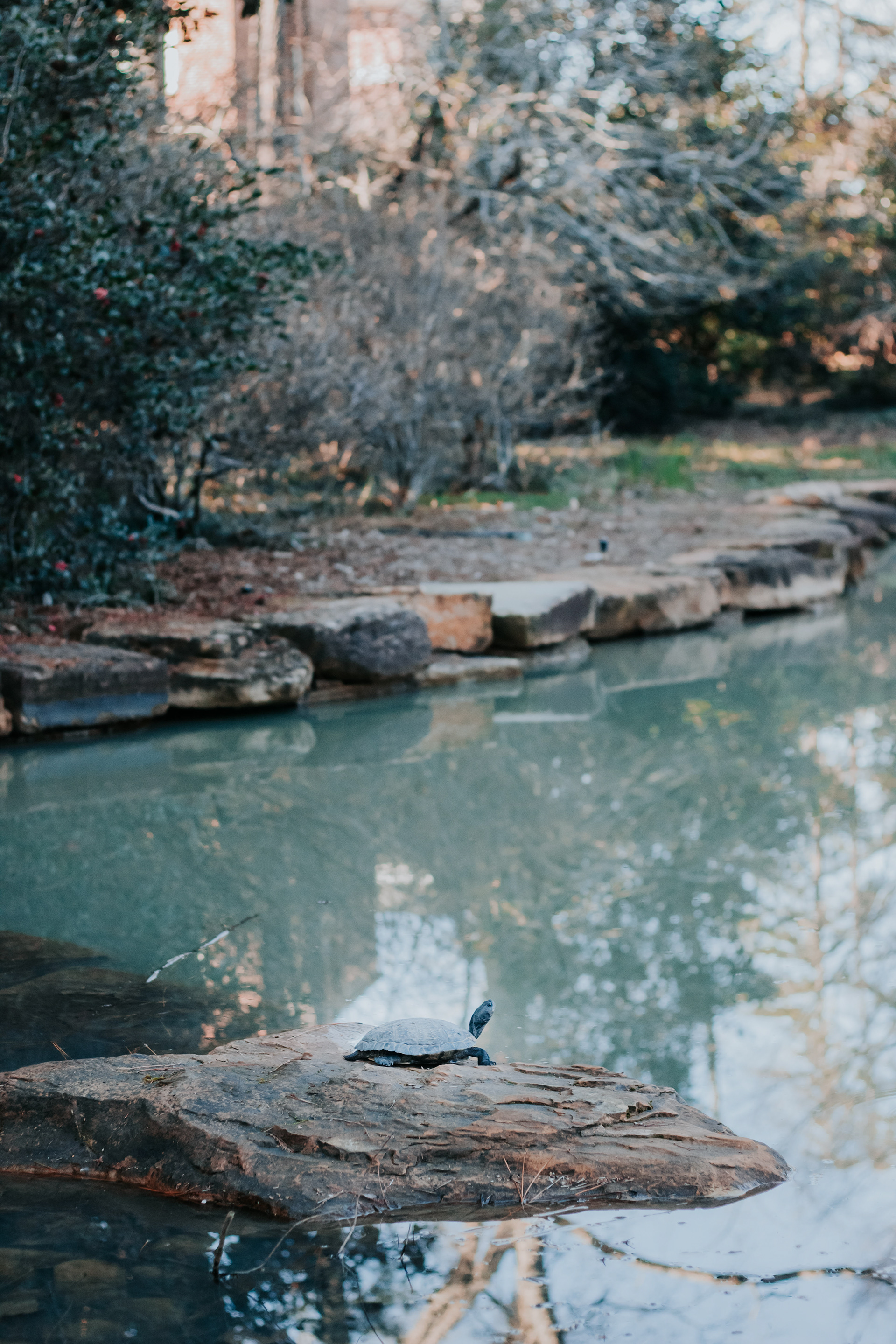 Garden of Memory