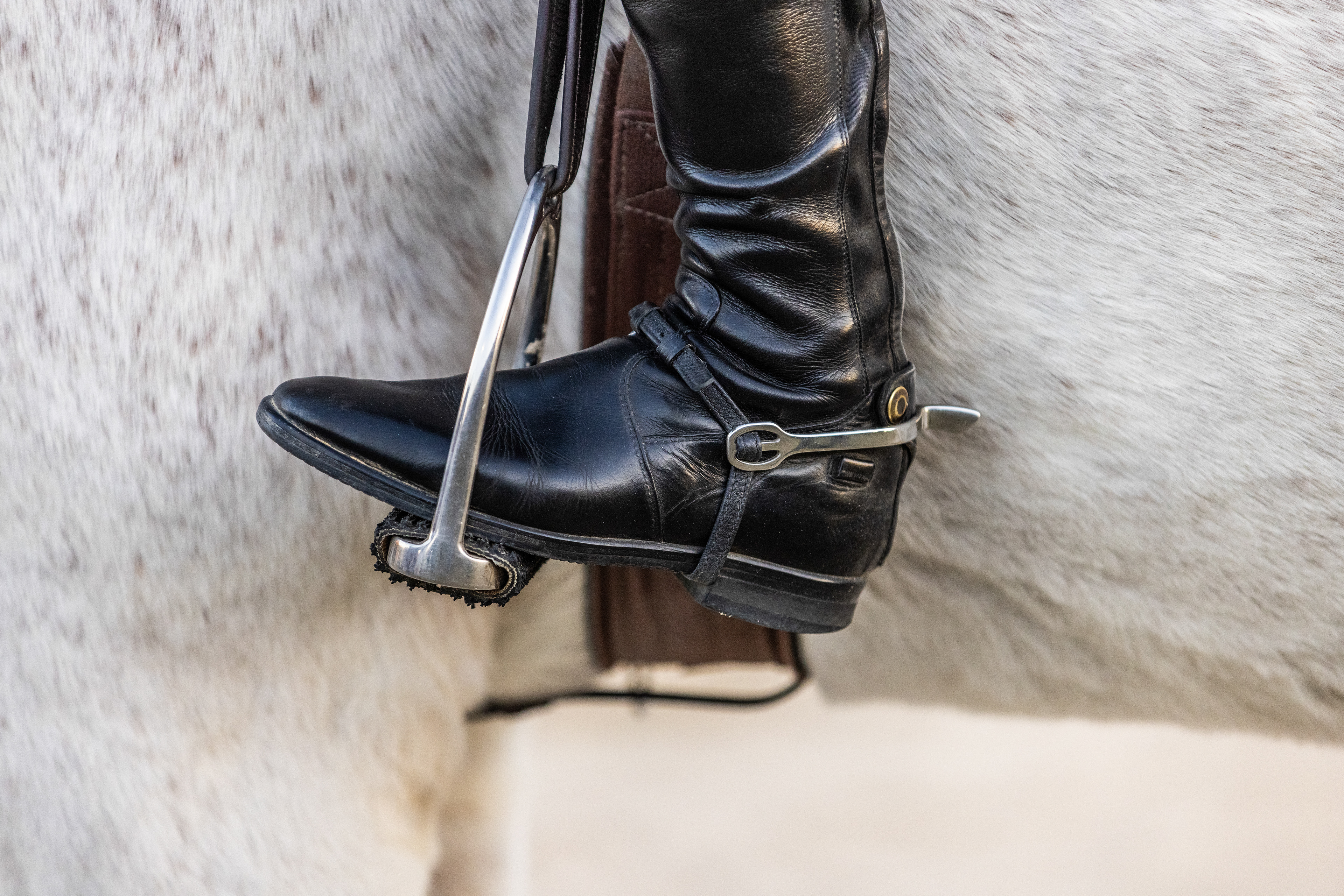 Auburn Equestrian vs OSU