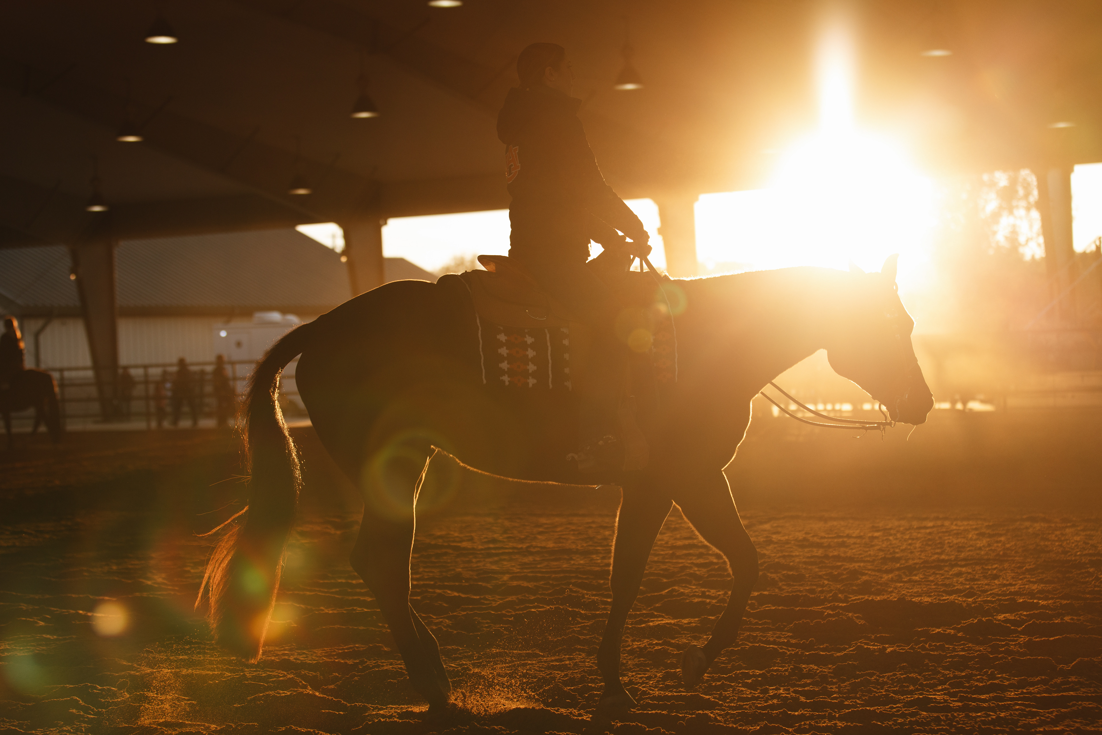 Auburn Equestrian vs OSU