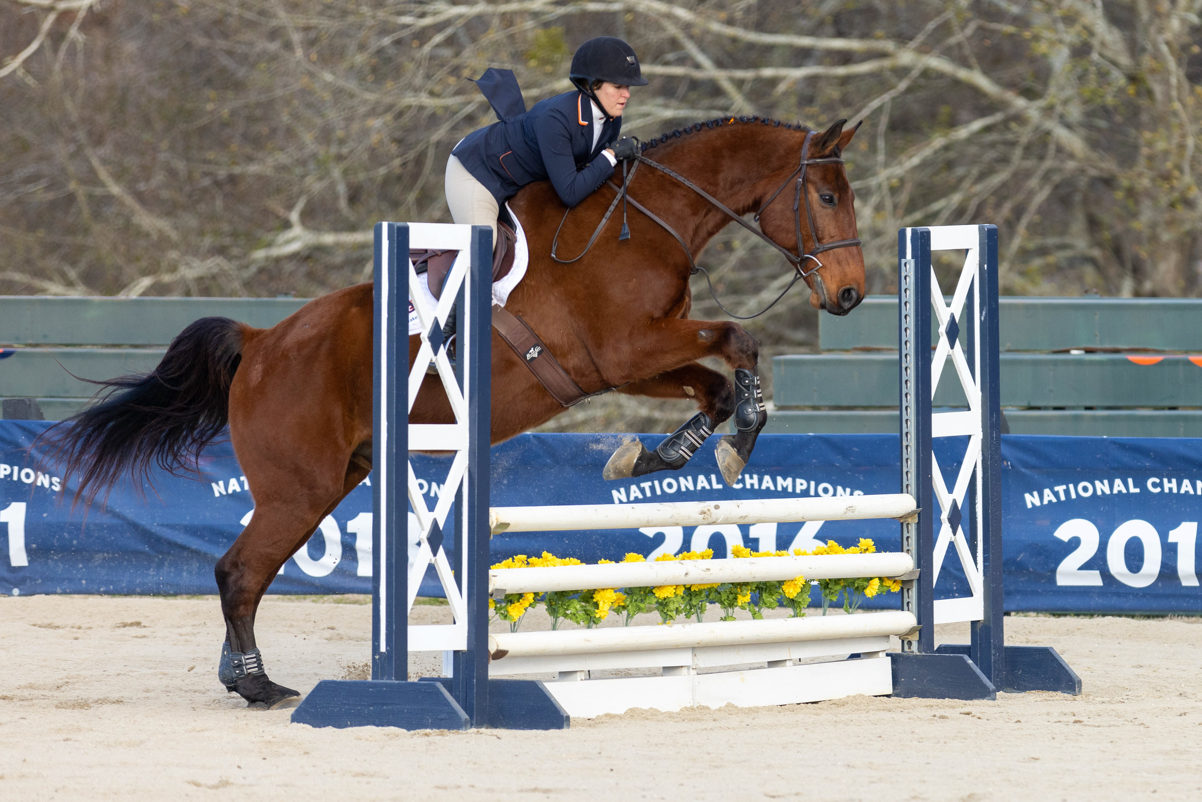 Auburn Equestrian Fences