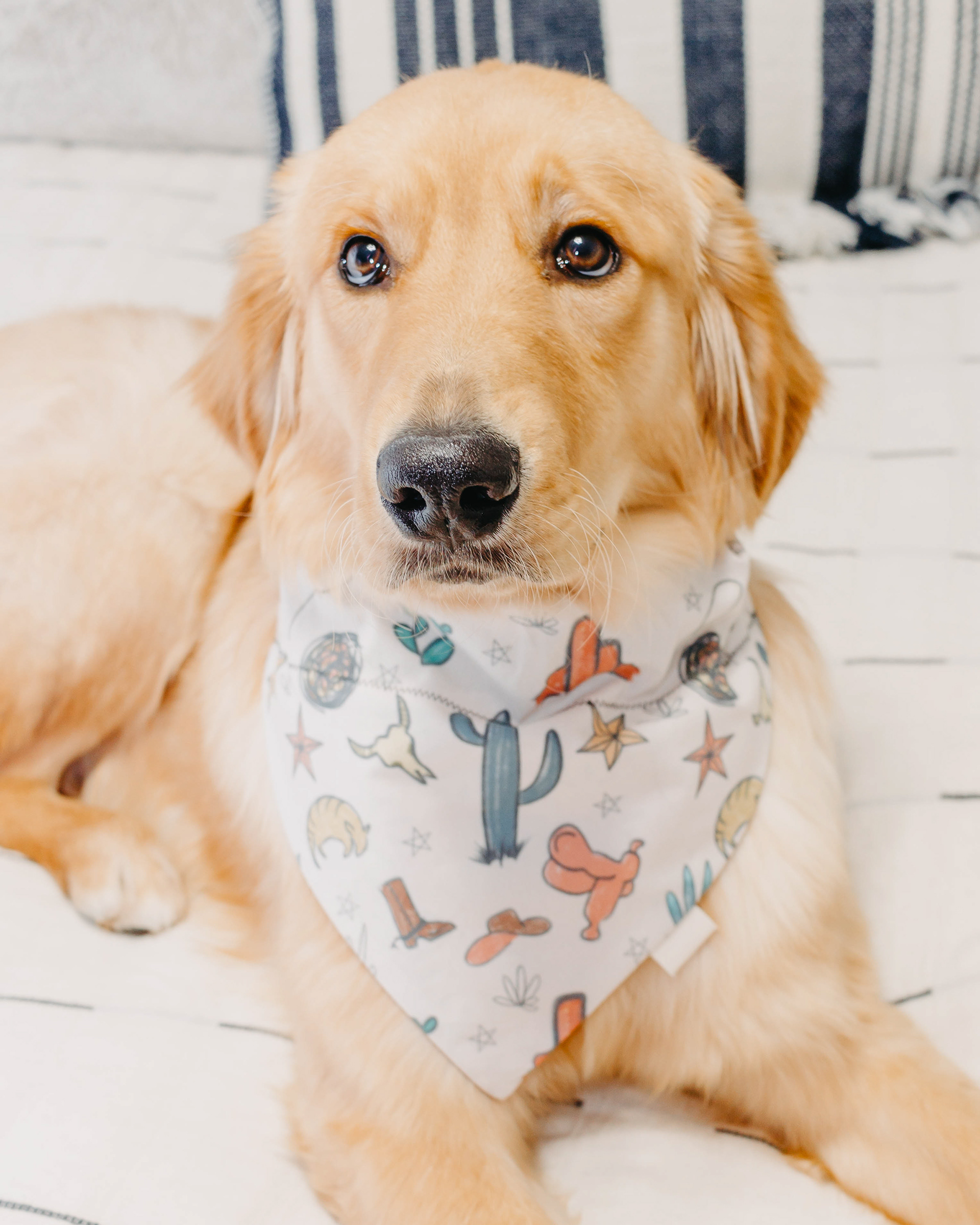 BBBC Product Photos
