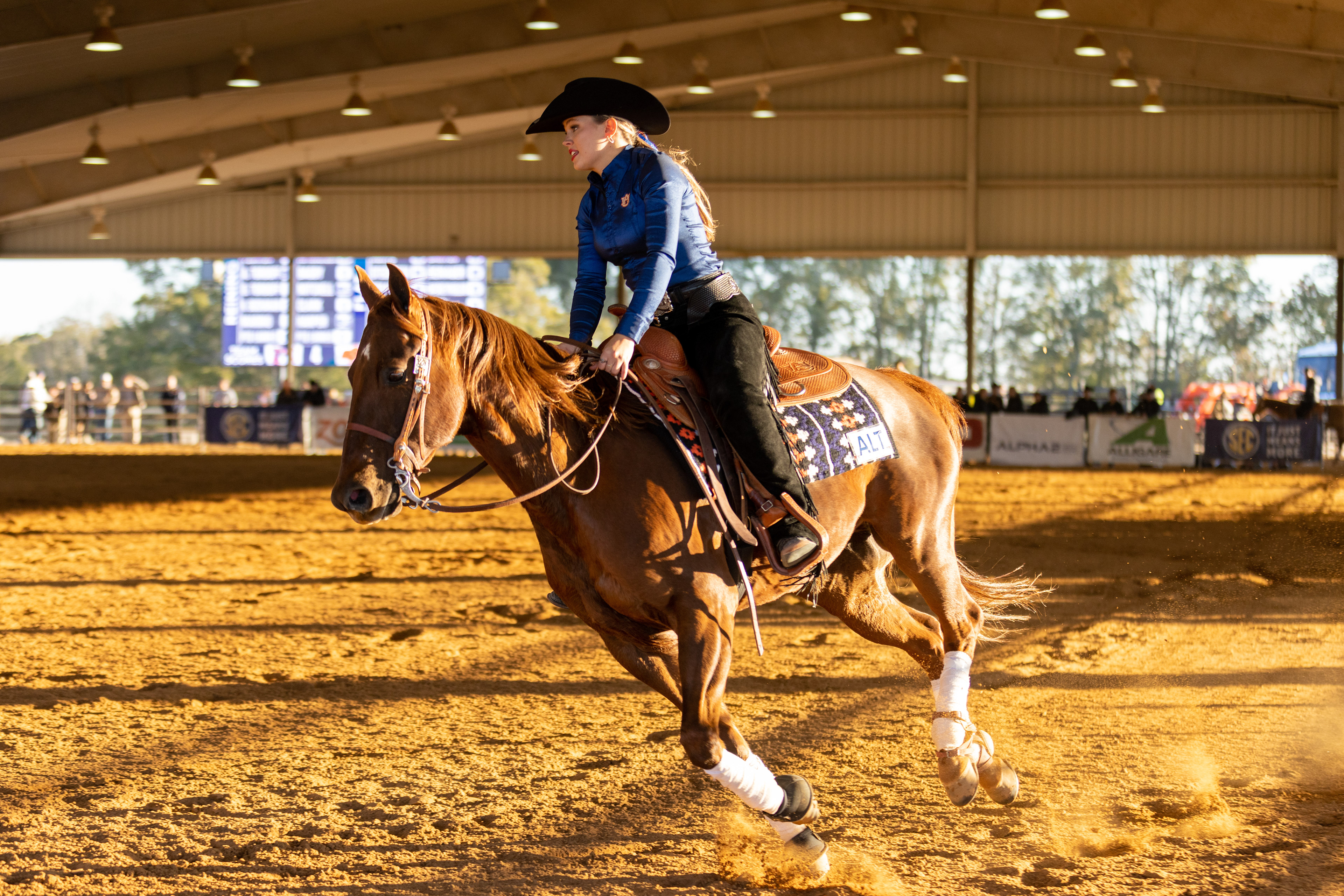 Auburn Equestrian vs OSU