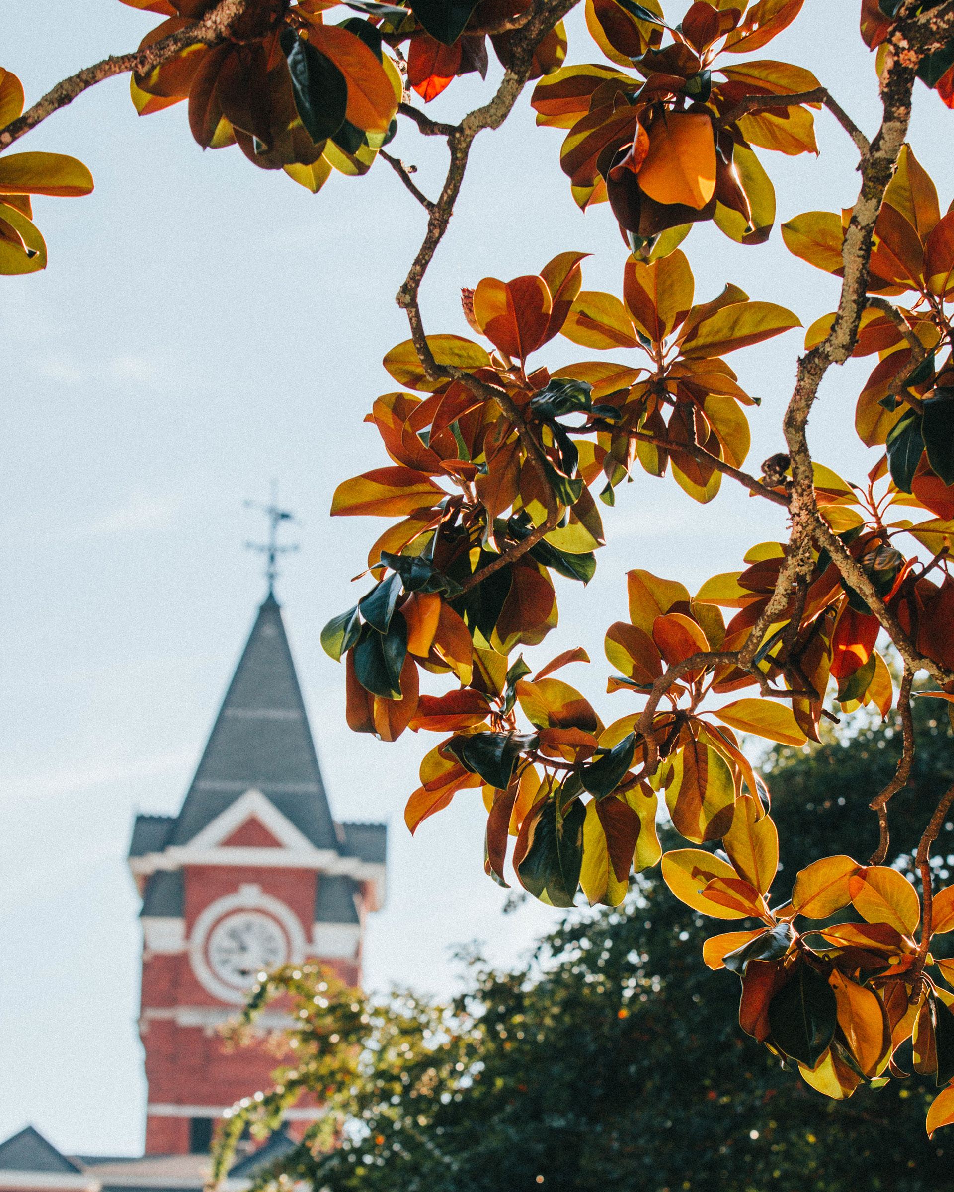 Samford Hall
