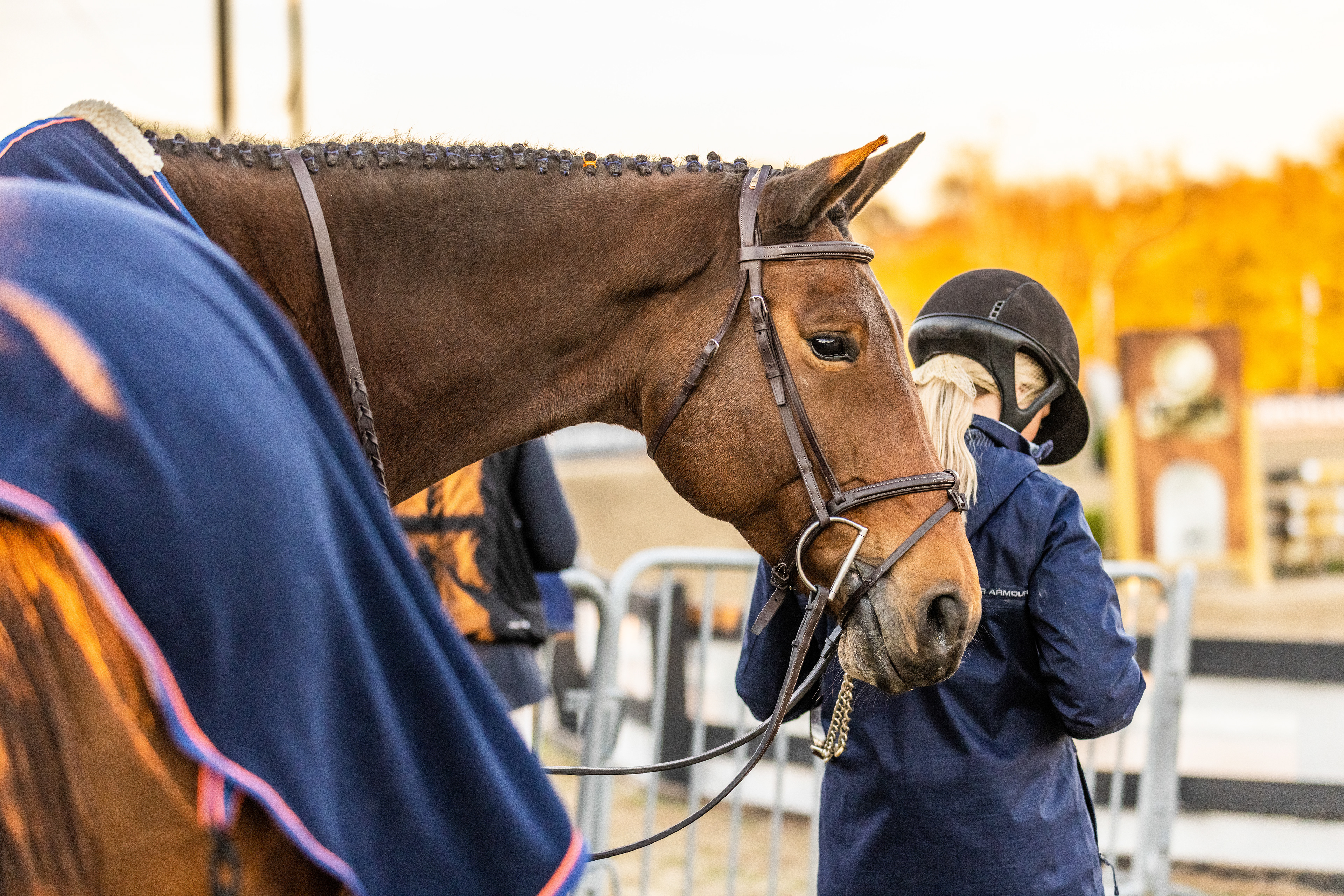 Auburn Equestrian vs OSU