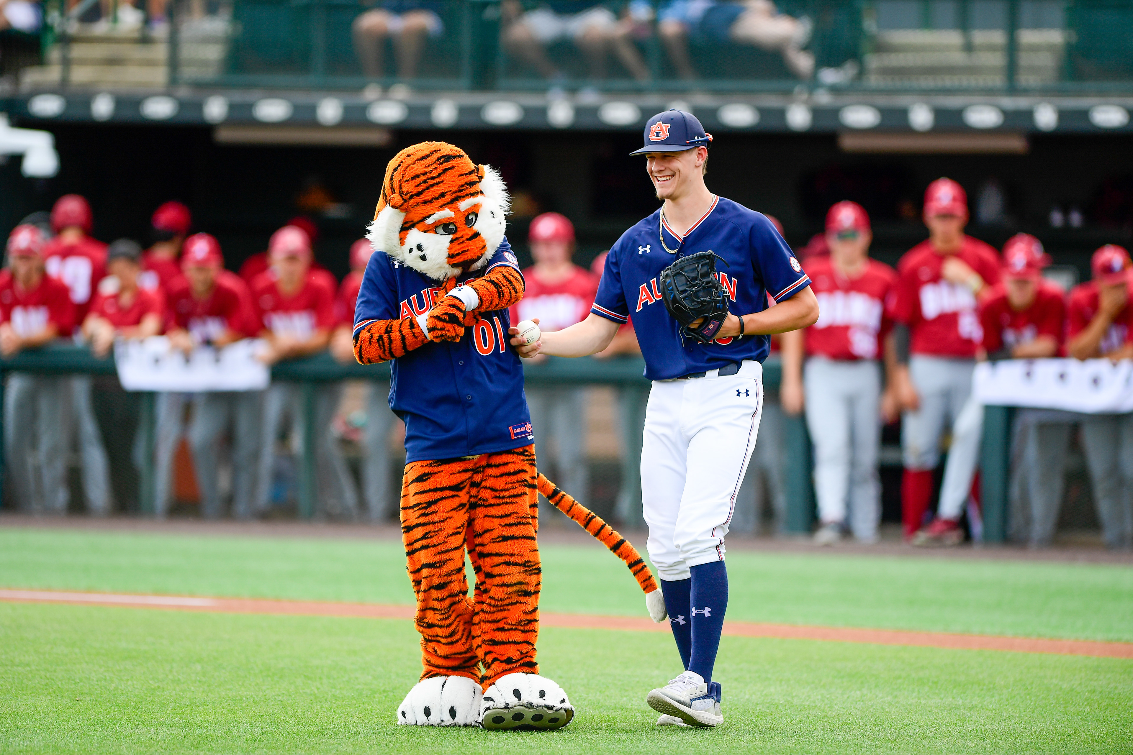 Auburn Baseball vs Alabama