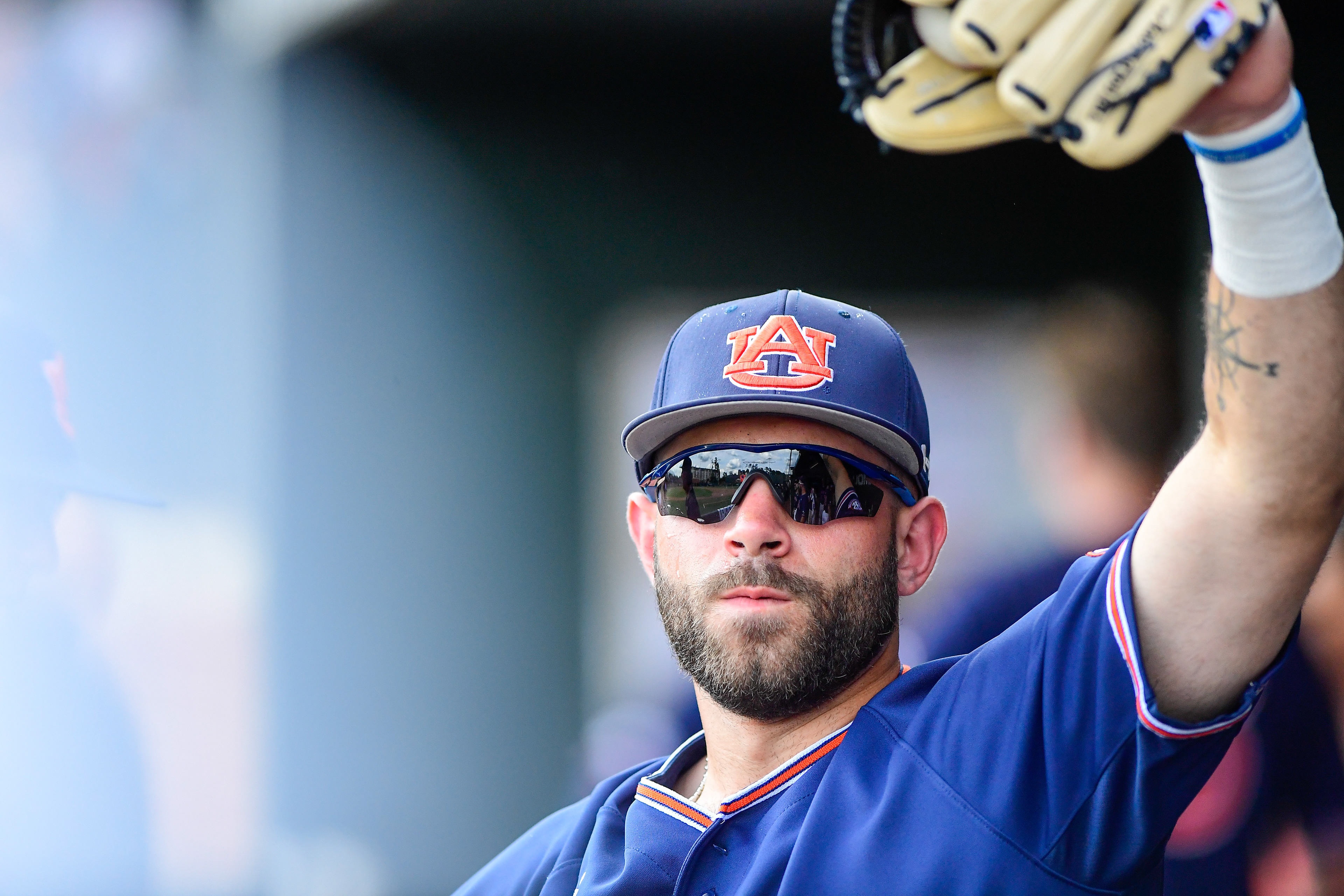 Auburn Baseball vs Alabama