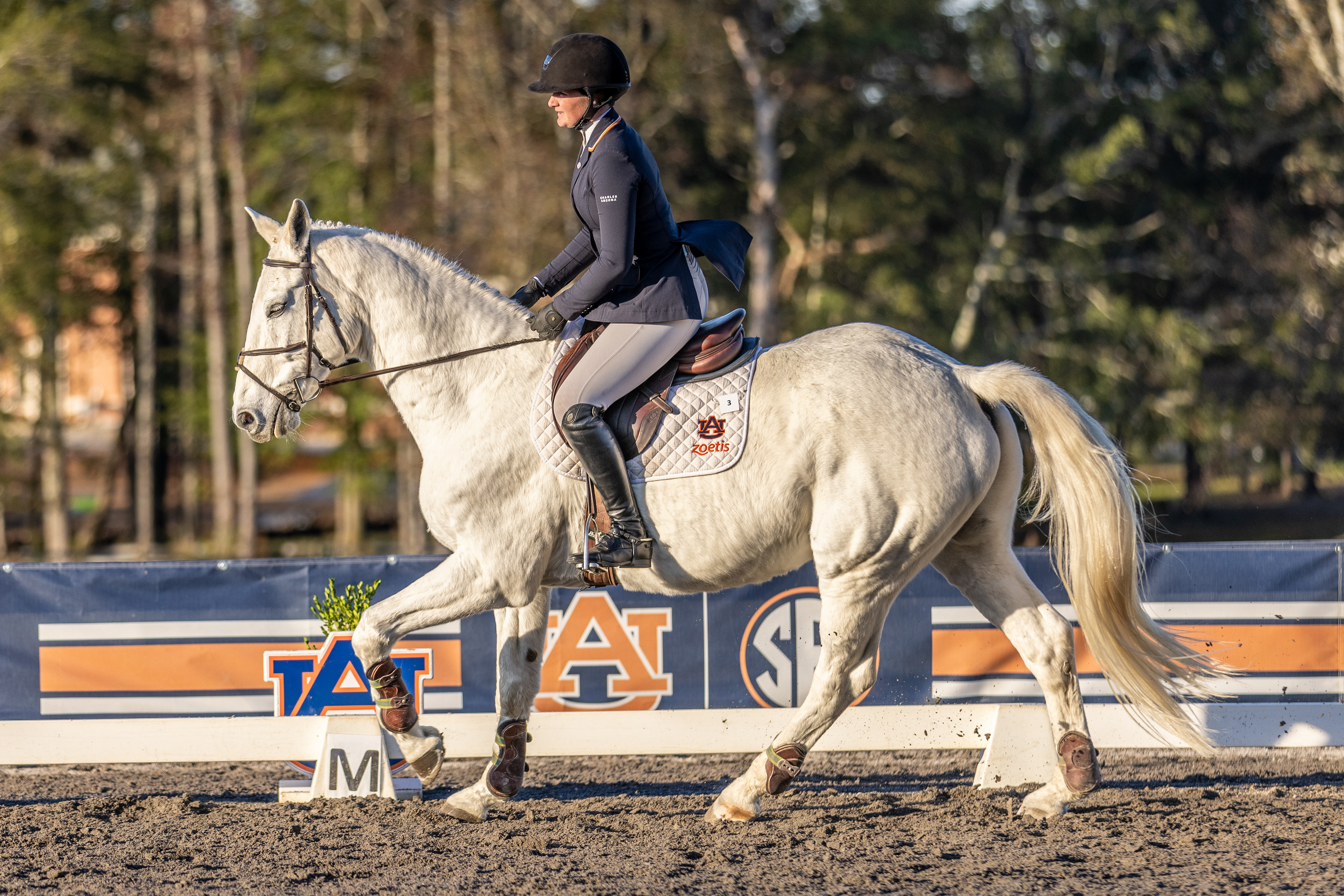 Auburn Equestrian vs OSU