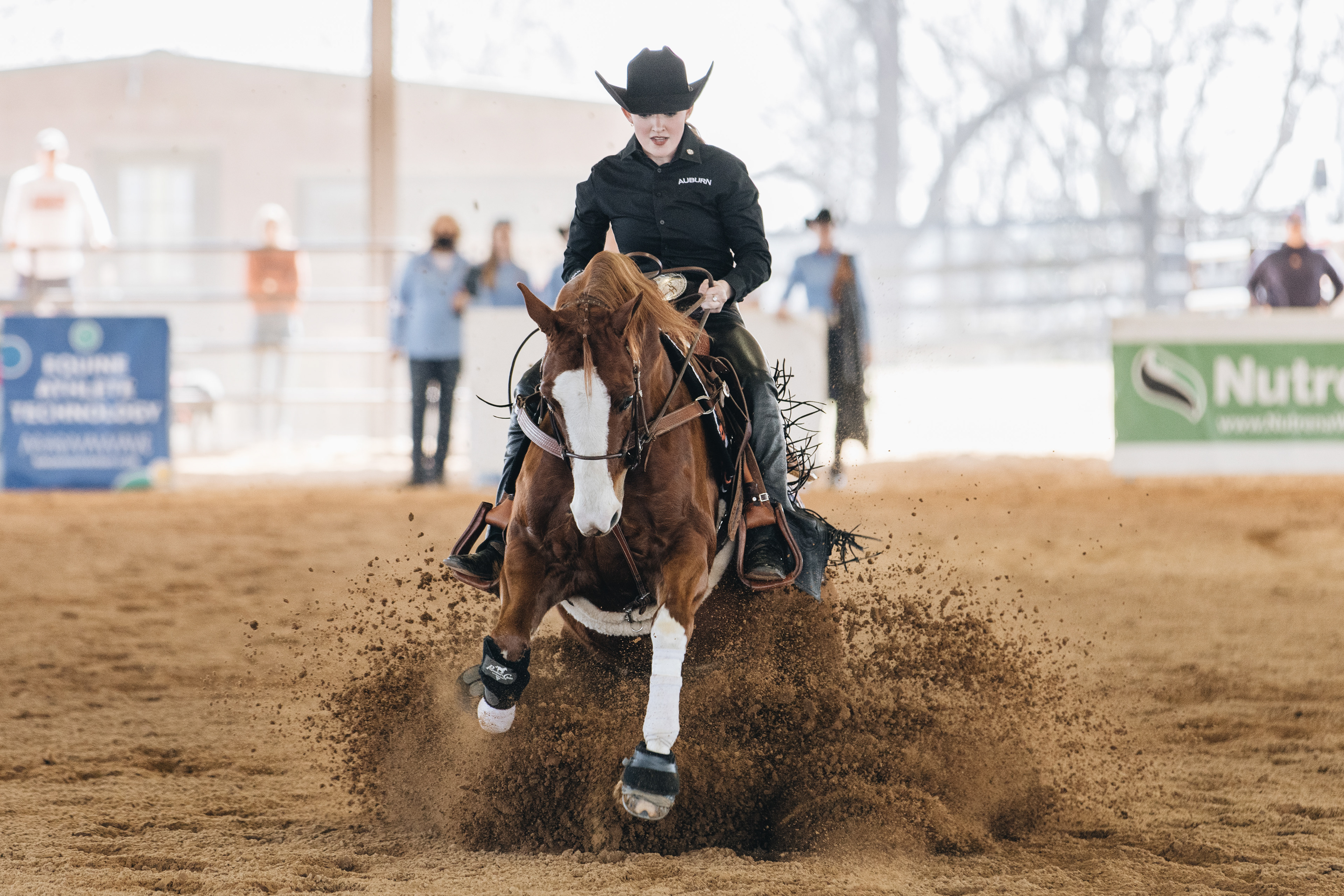 Auburn Equestrian Reining