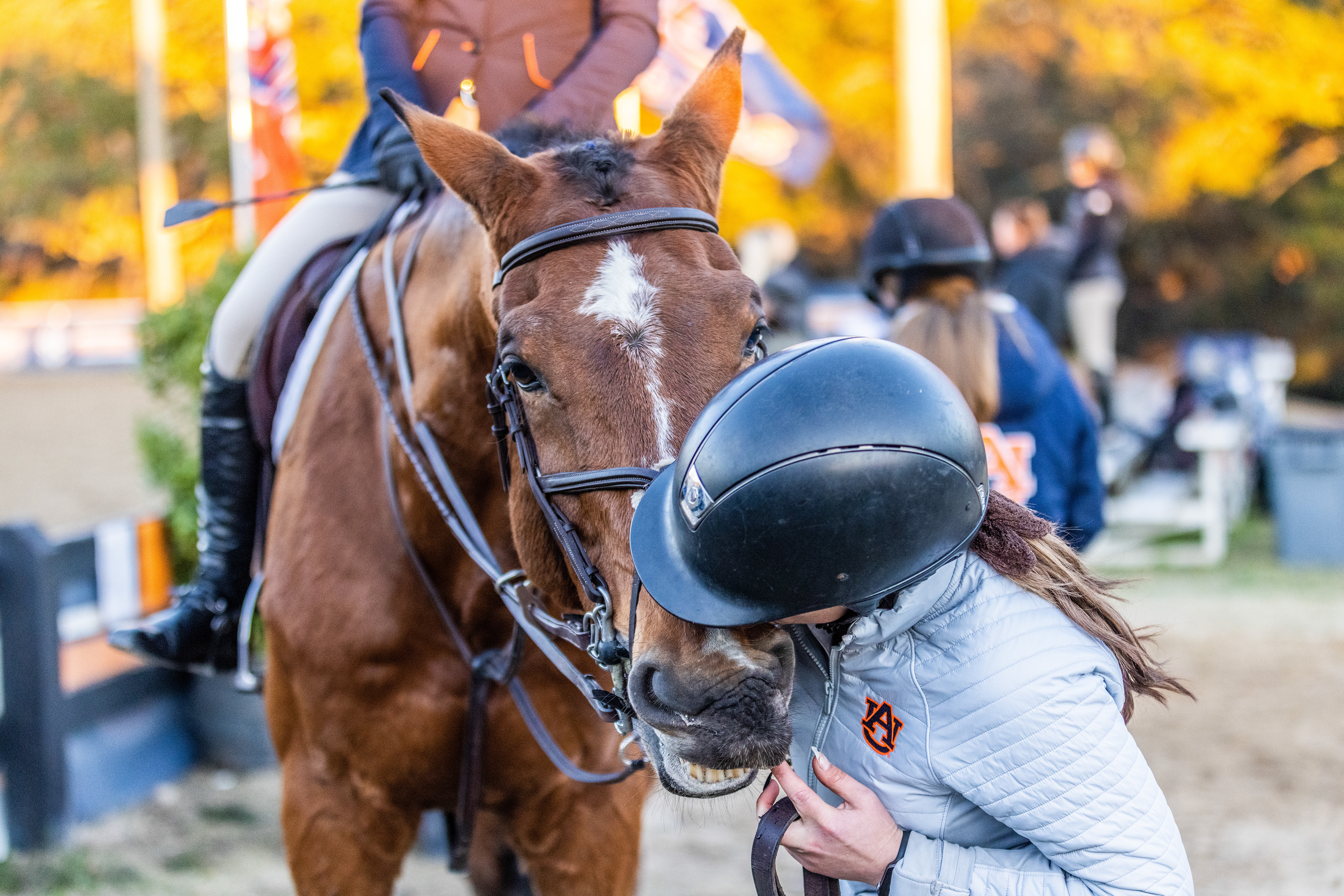 Auburn Equestrian vs OSU