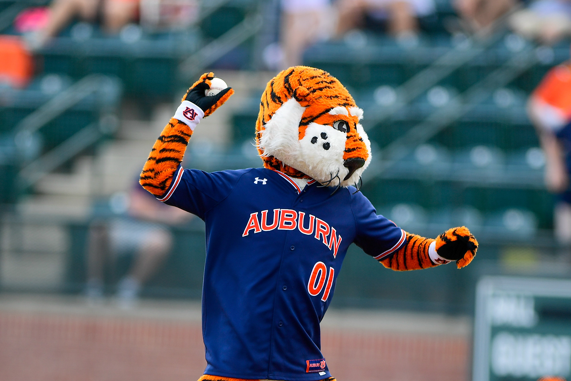Auburn Baseball vs Alabama