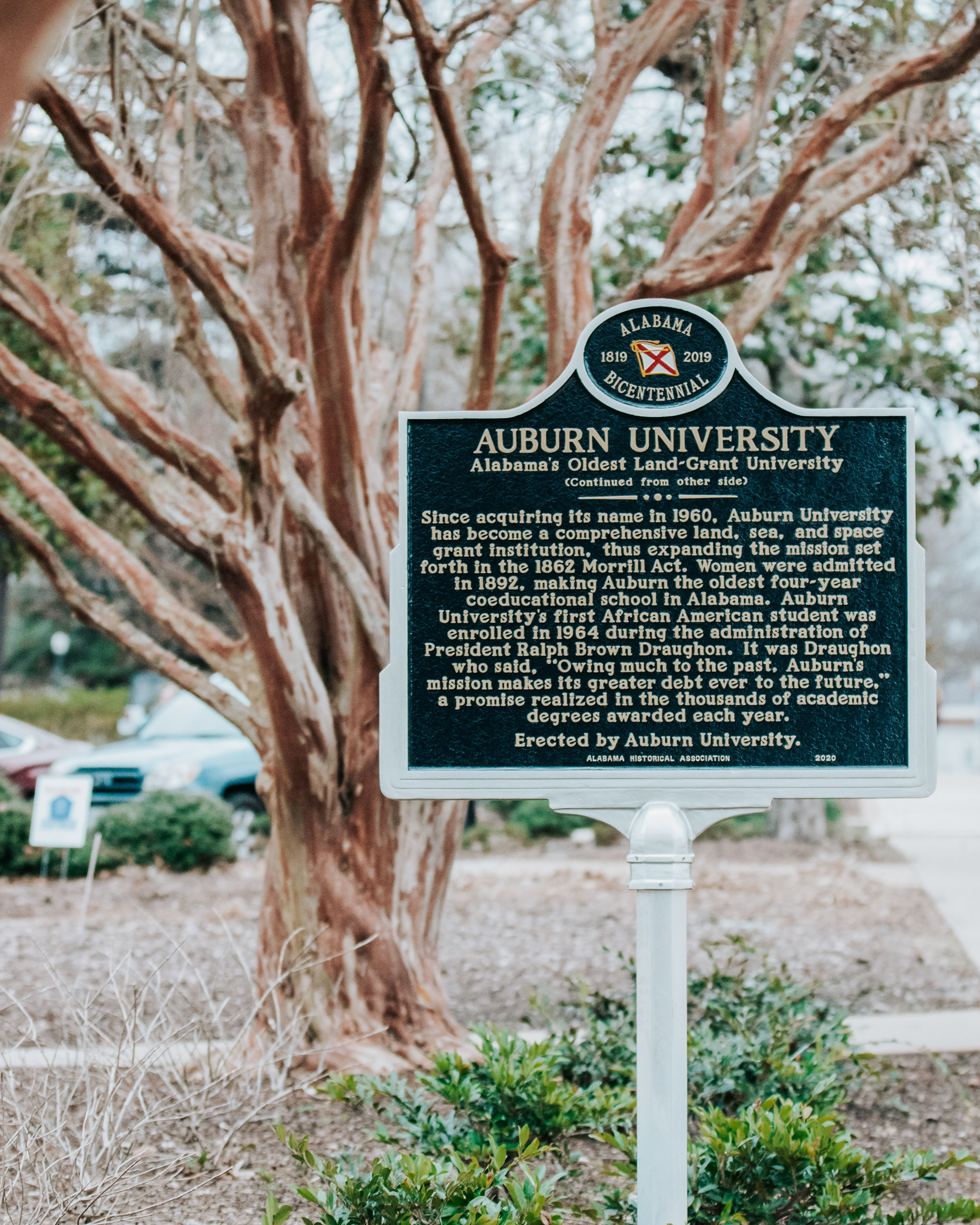the history of The College of Agriculture