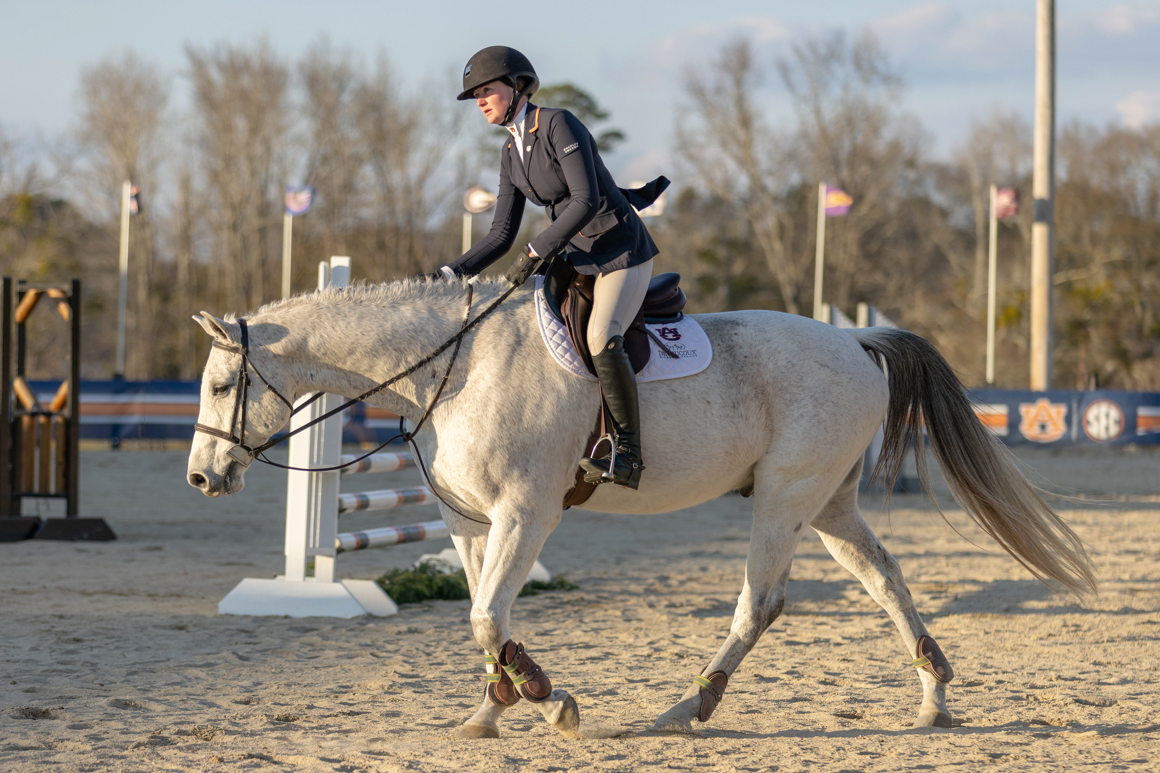 Auburn Equestrian Fences