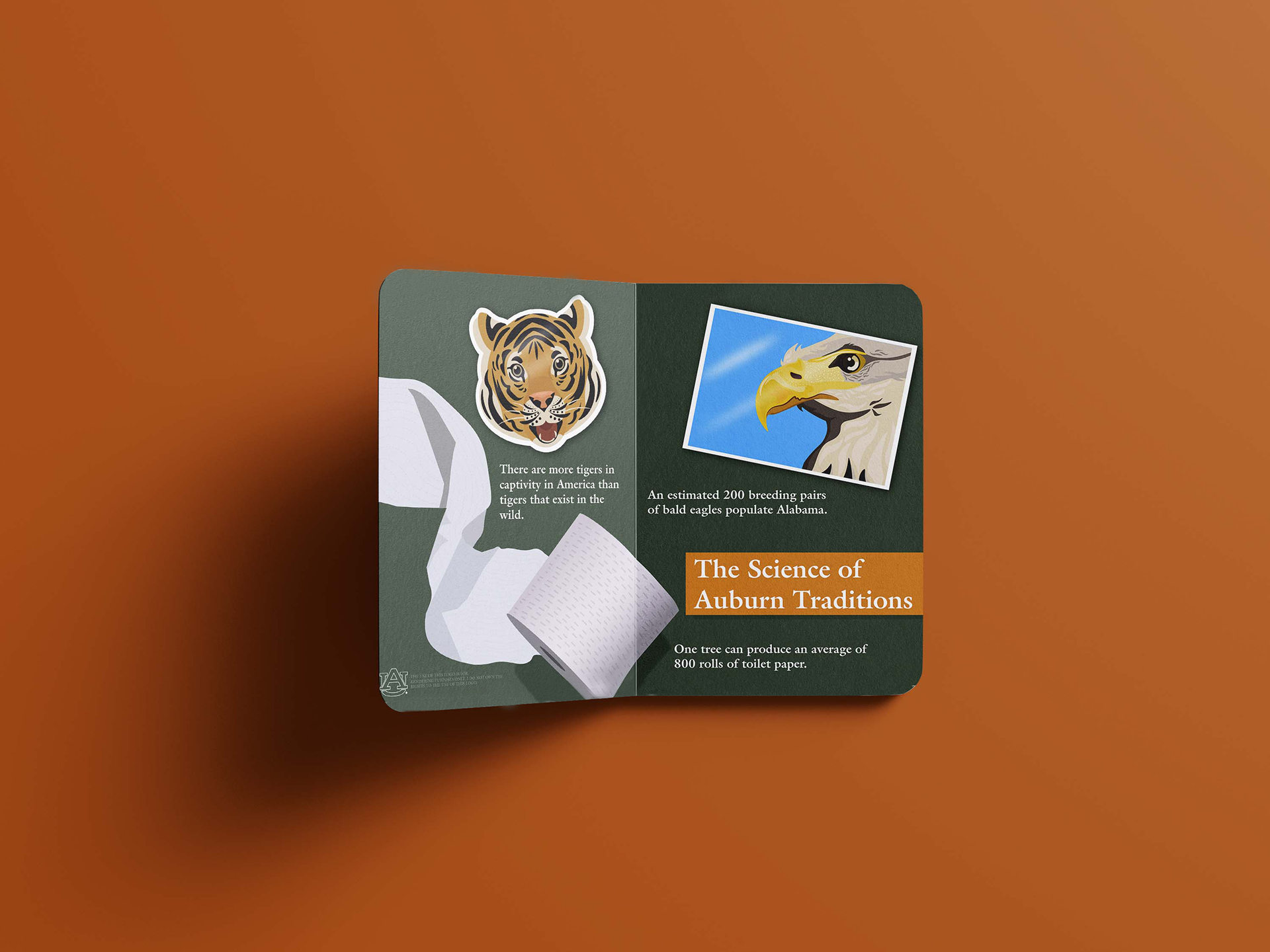 Children's Book Mockup - Scientific Illustration