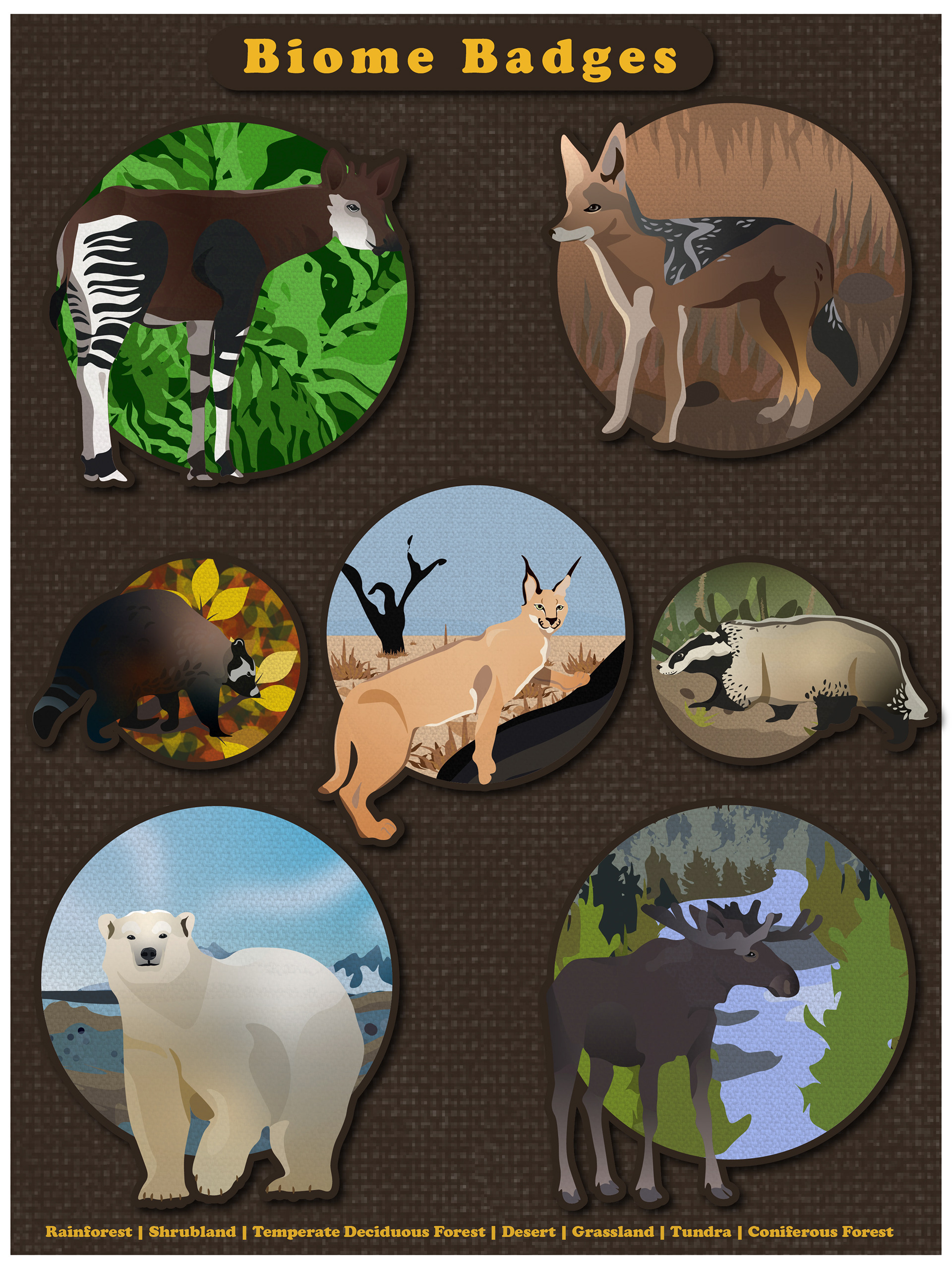 Biome Badges - Scientific Illustration