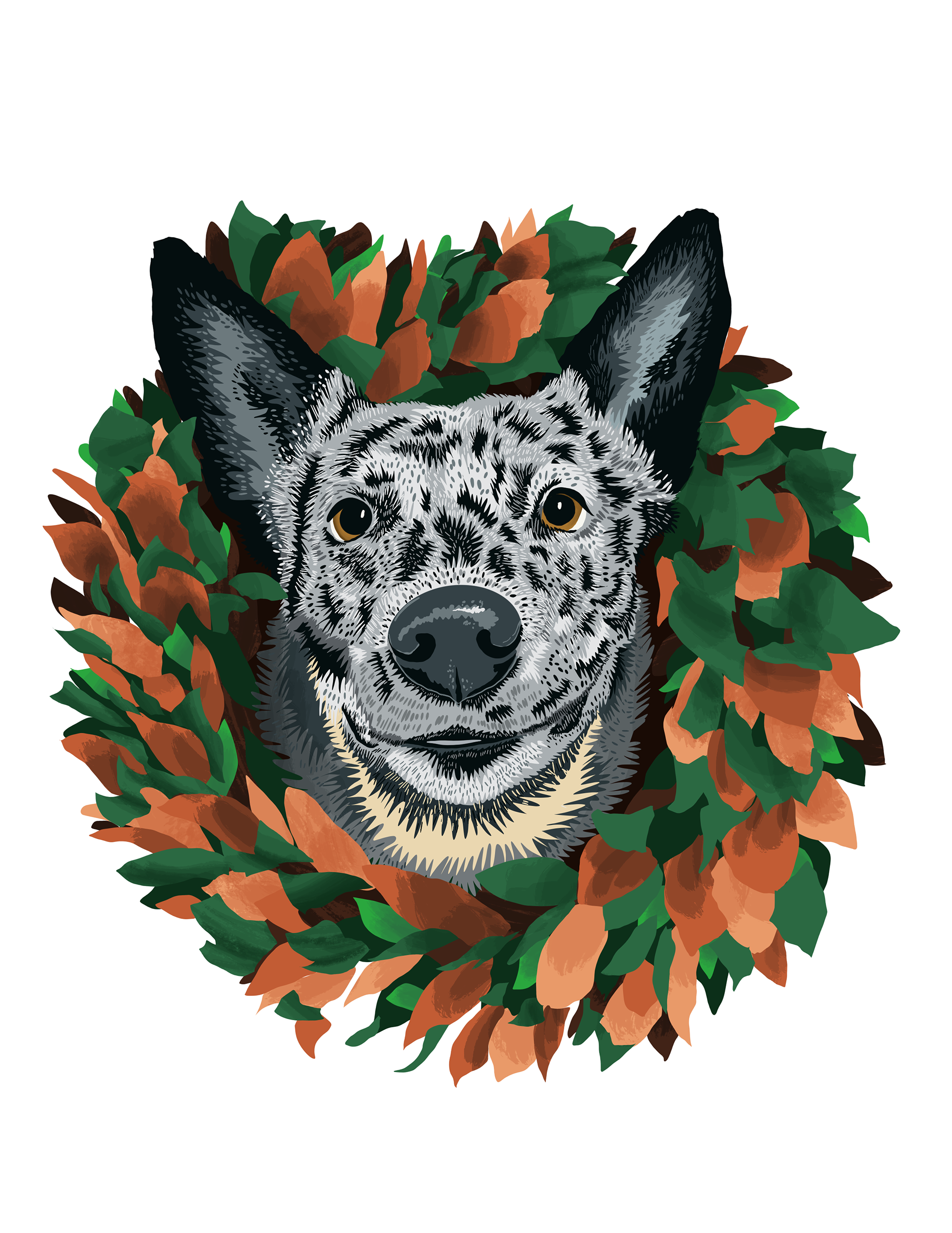 Pet Portrait