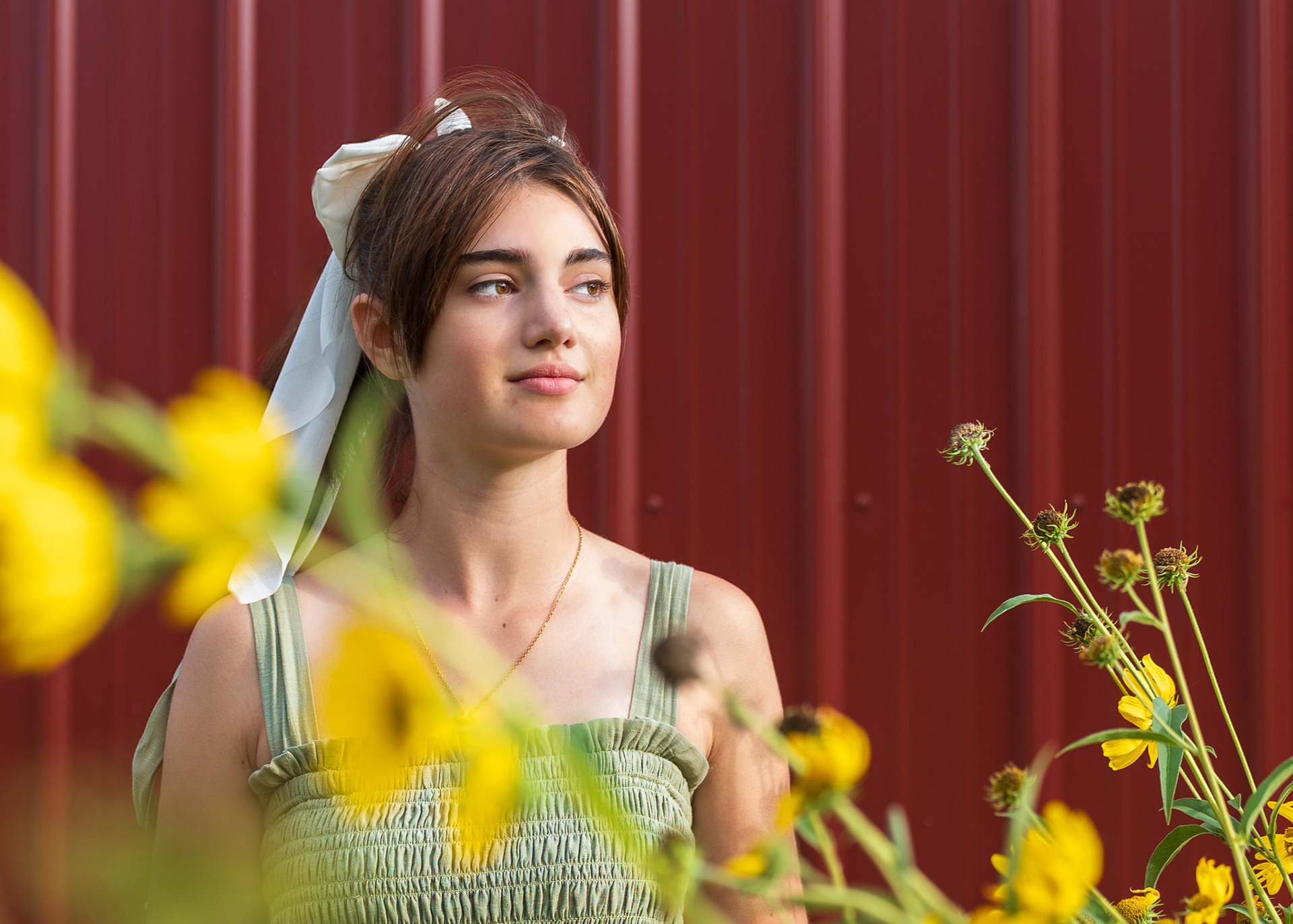 Senior Photos - Imlay City, Michigan
