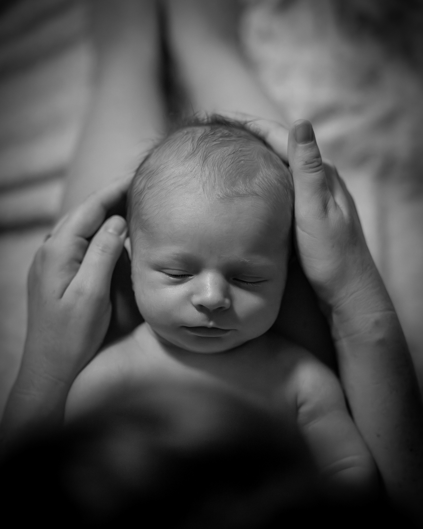Newborn Photos - Rochester, Michigan