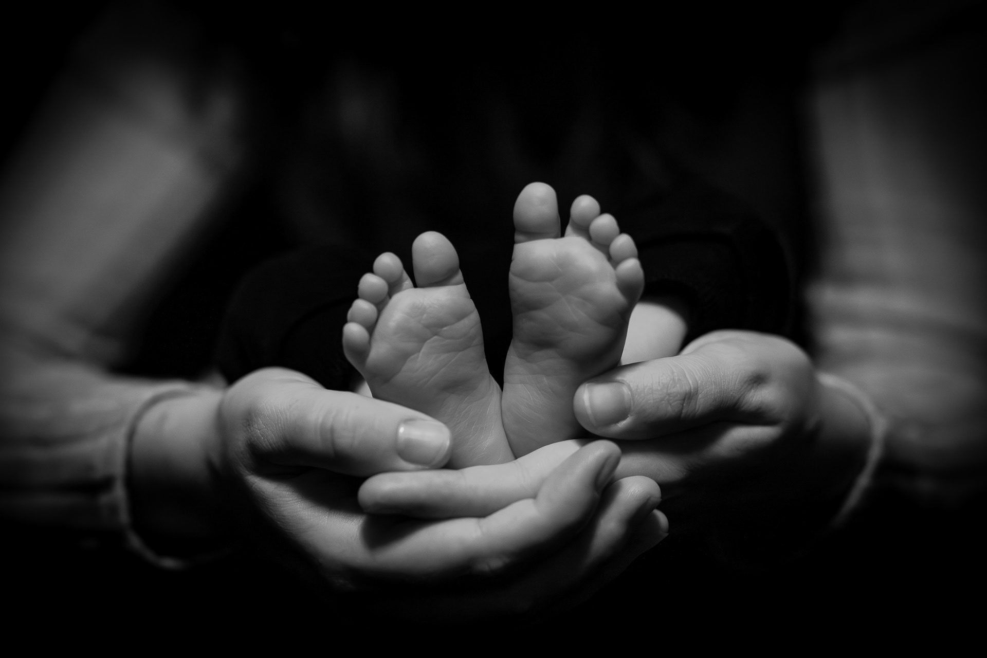 Newborn Photos - Rochester, Michigan