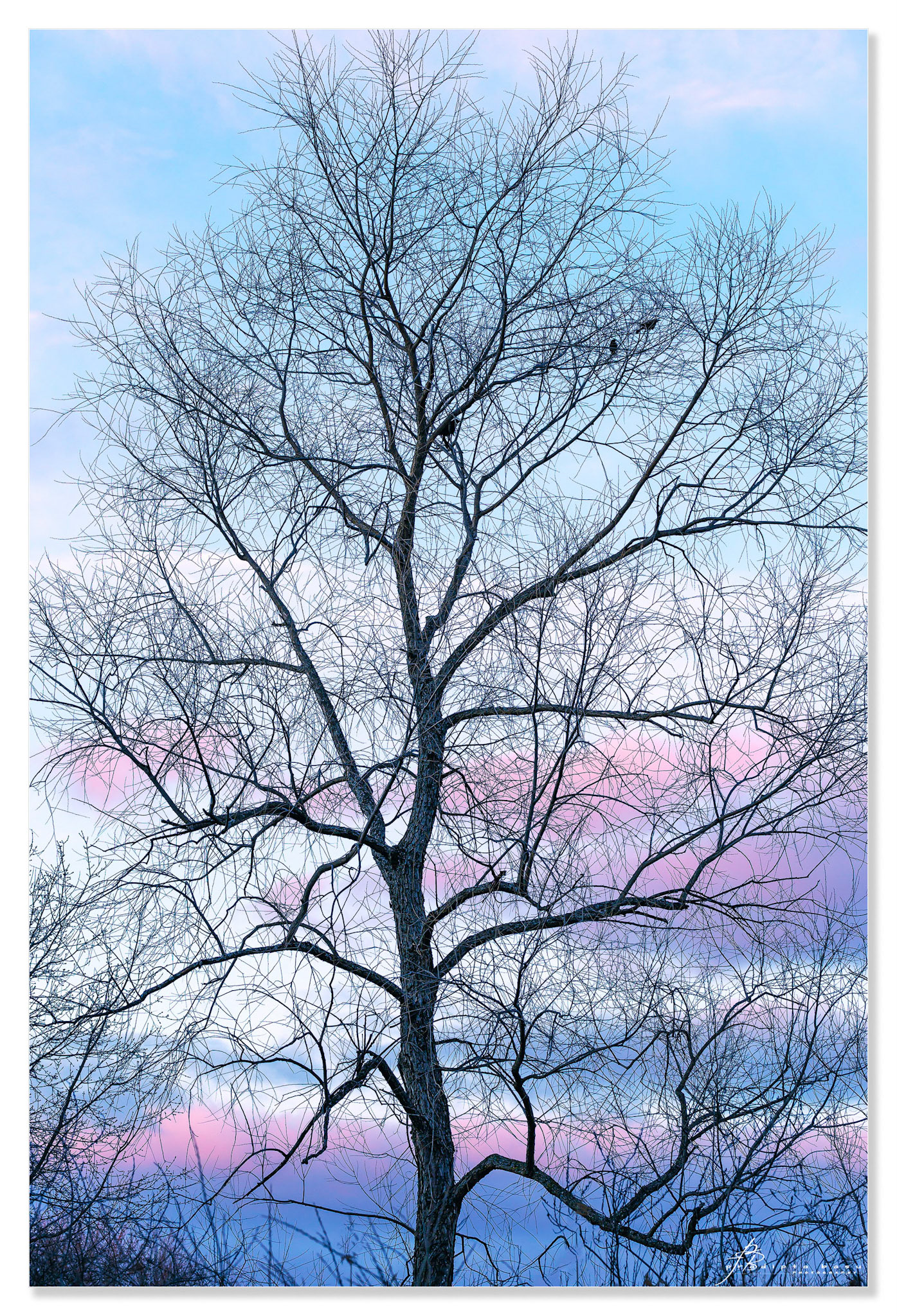 Winter ends....warm days ahead