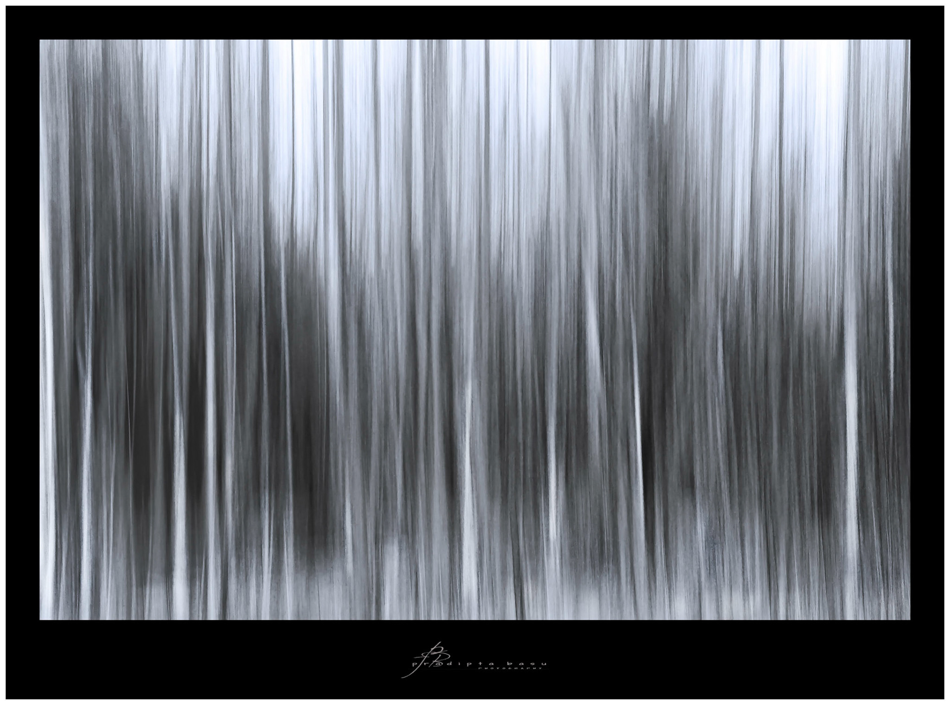 Hibernal woodlands