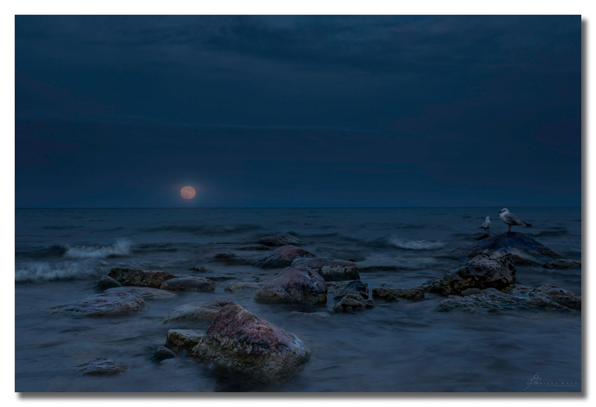 It's the last super moon of the year. Even the gulls were waiting for this tranquil experience