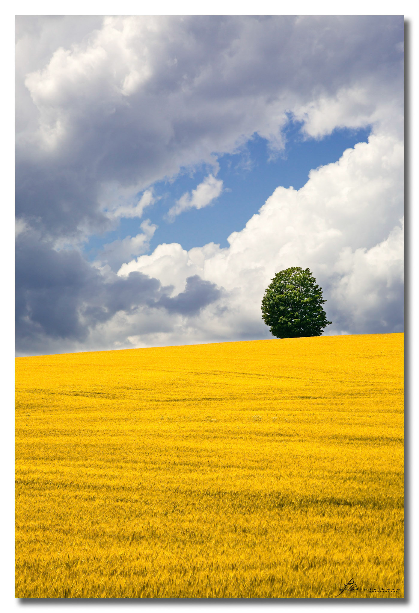 A sunny break between intermittent showers