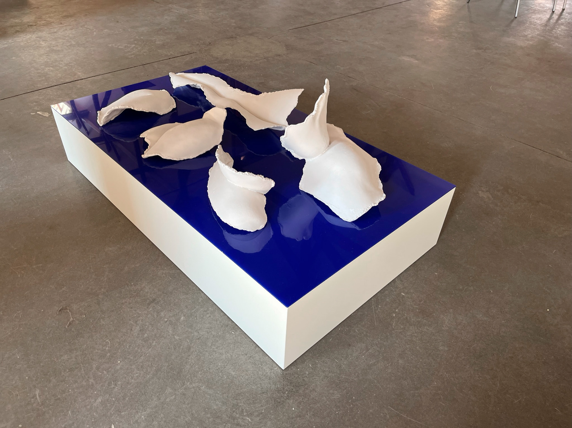 Lene Bach-Lauritsen, Distant Shores | Shell Pieces, ArtWeek Kerteminde 2022