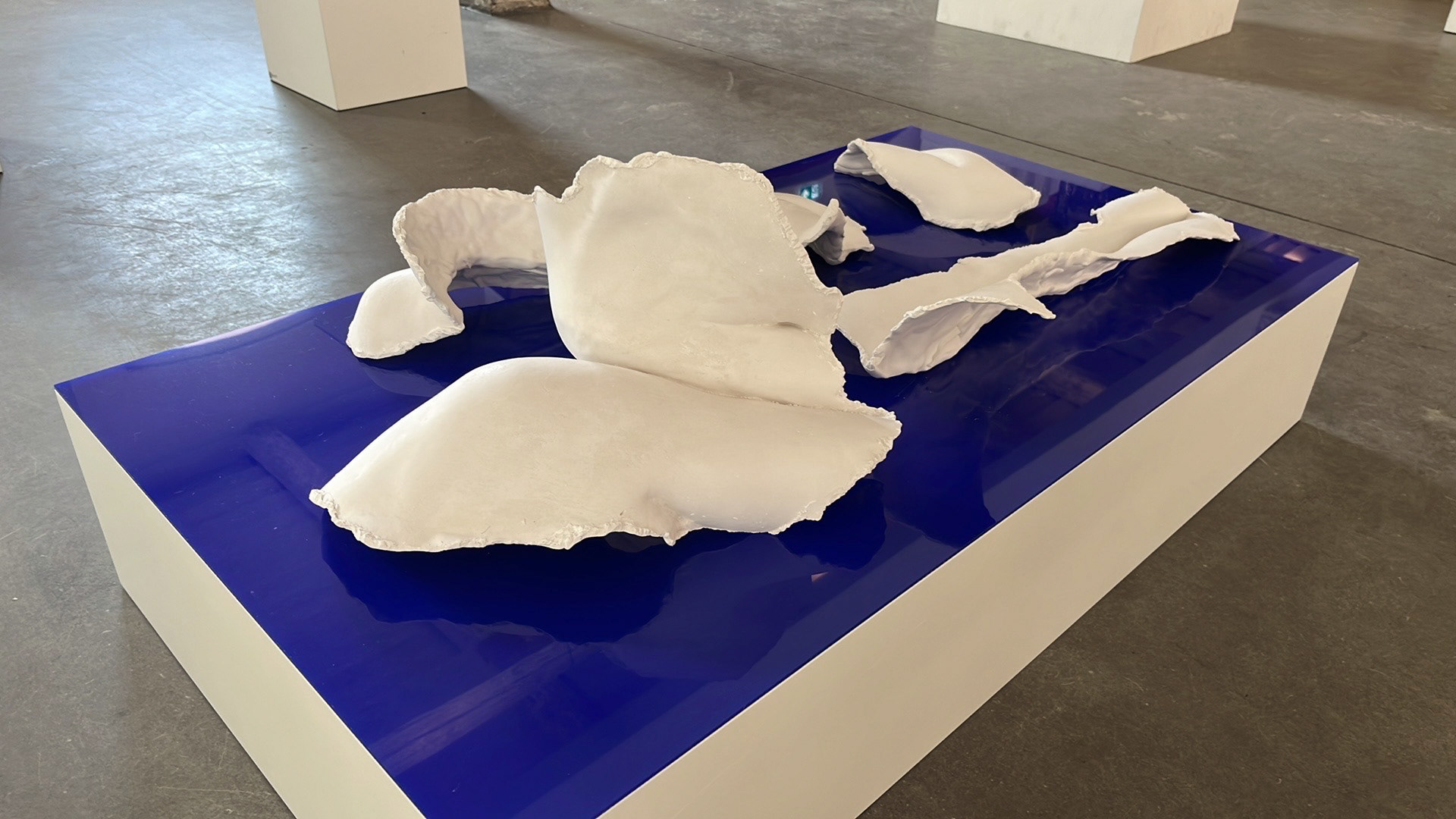Lene Bach-Lauritsen, Distant Shores | Shell Pieces, Shell Piece # 02.01, 01.05, 01.04, 01.12, 01.14