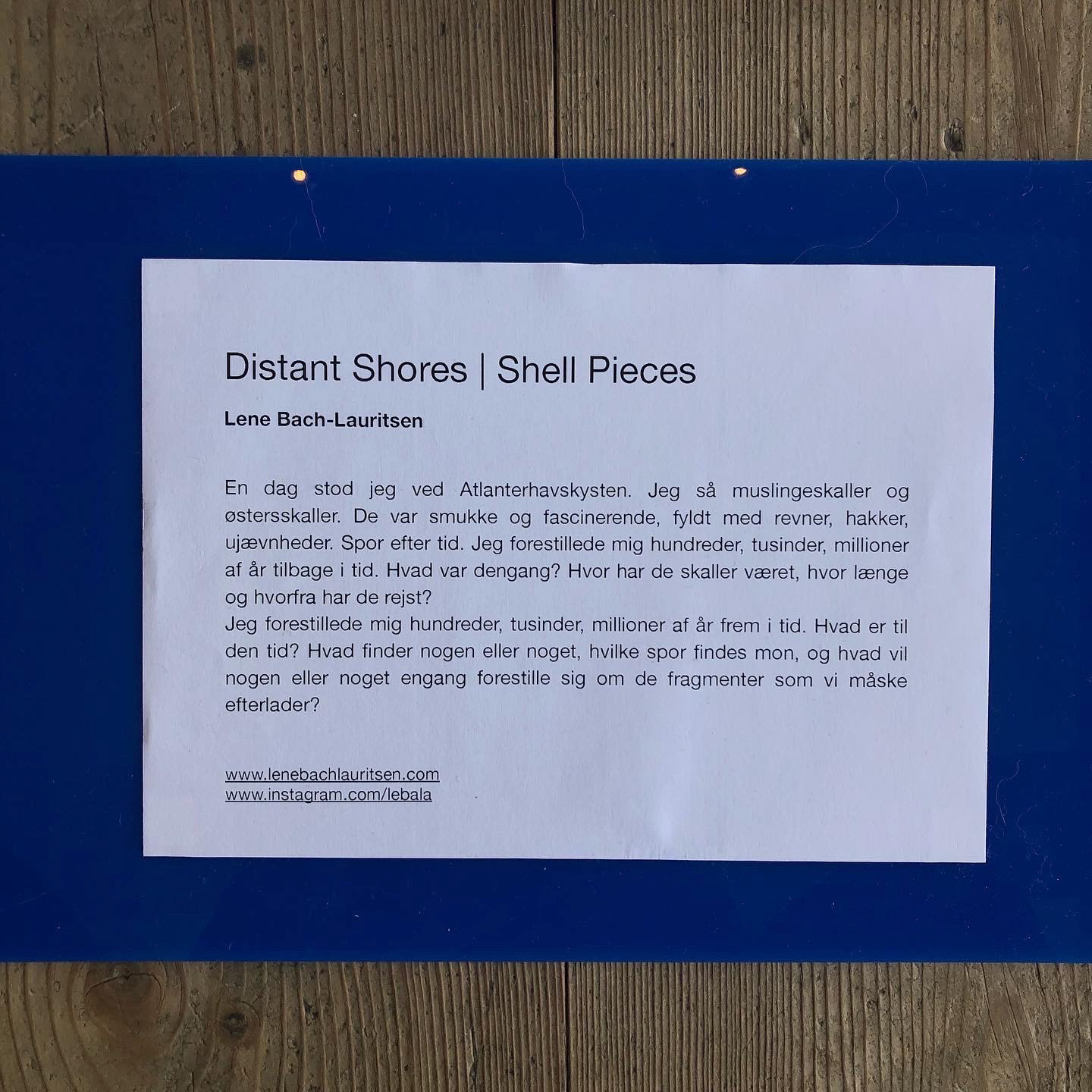 Lene Bach-Lauritsen Distant Shores | Shell Pieces